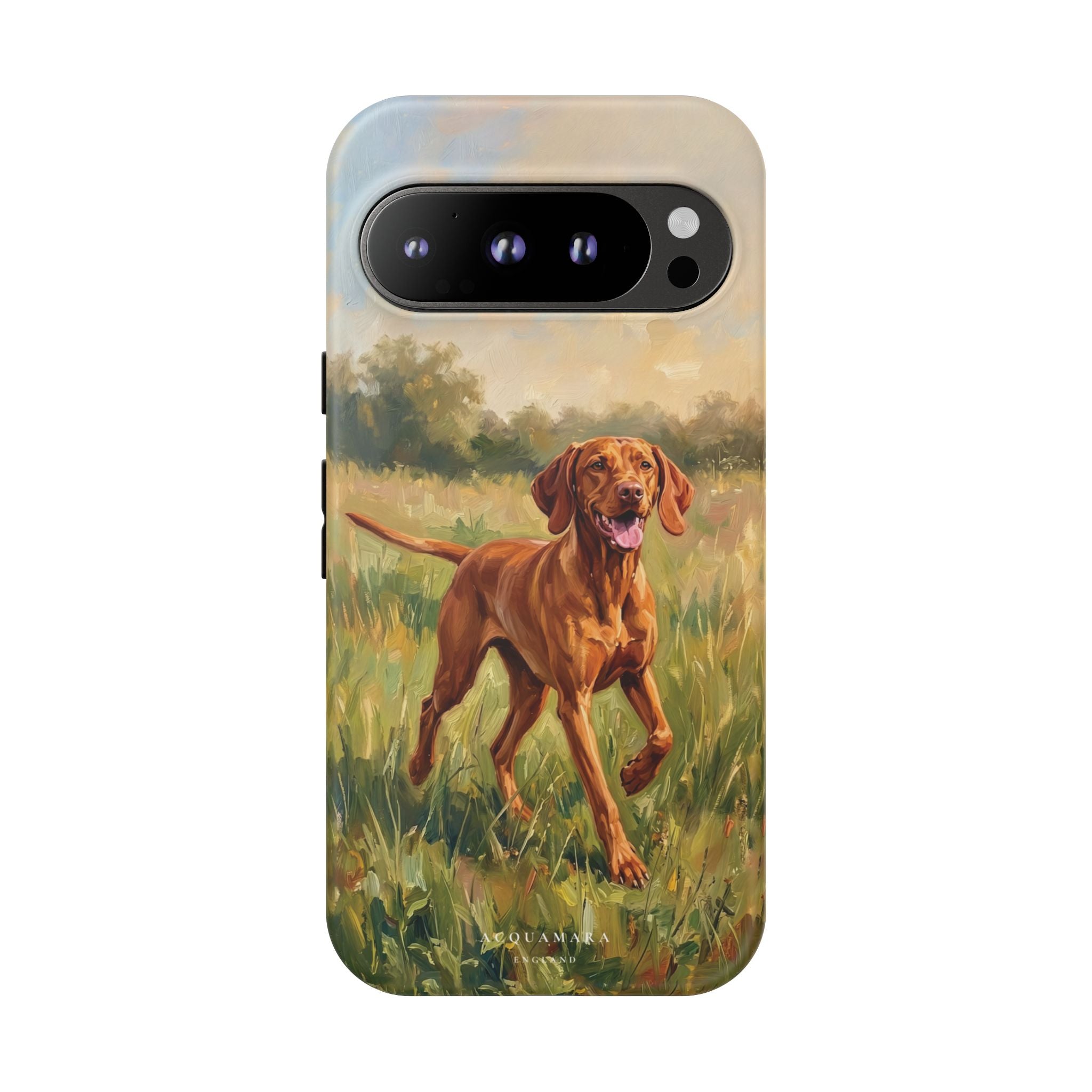 The Hungarian Vizsla