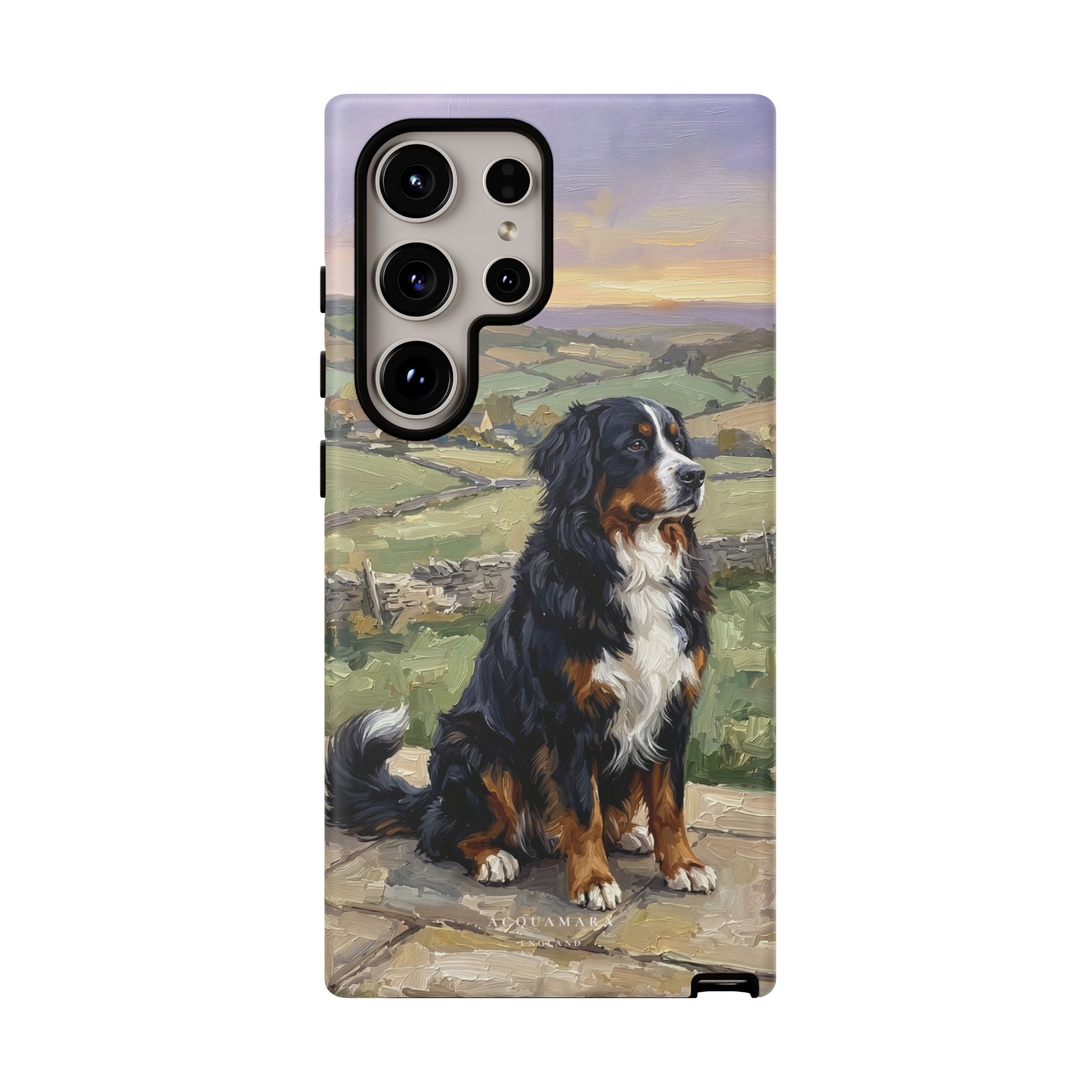The Bernese Mountain Dog
