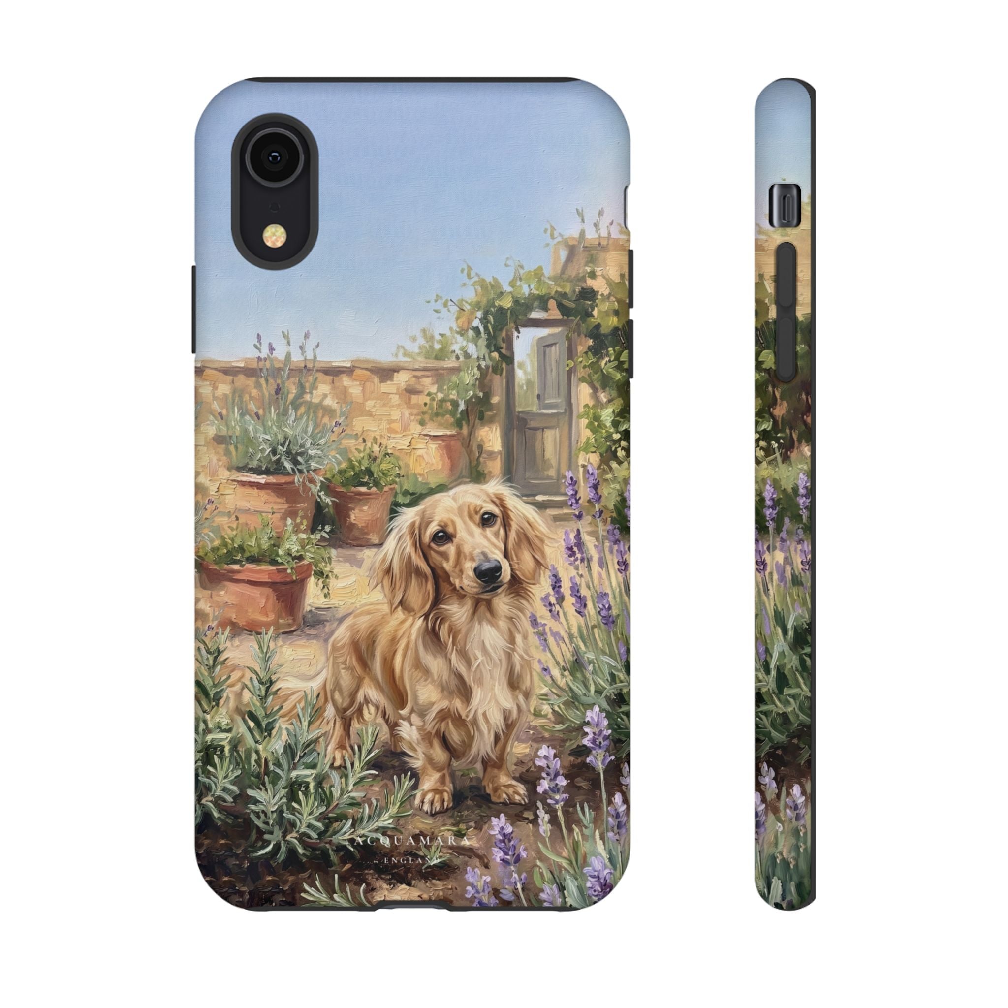 The Dachshund (Blonde long hair)