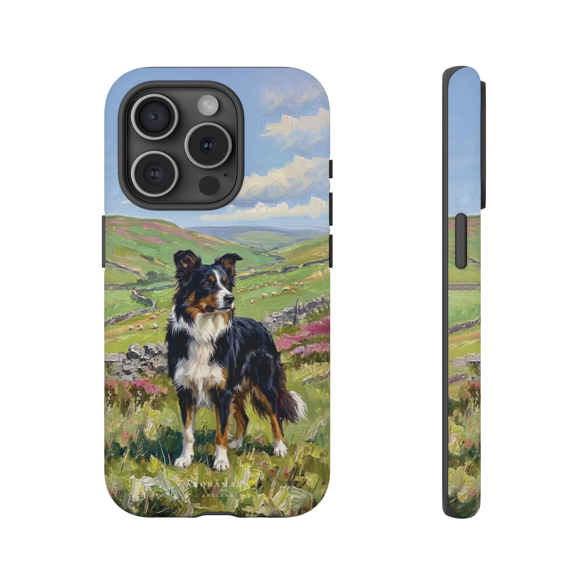 The Border Collie