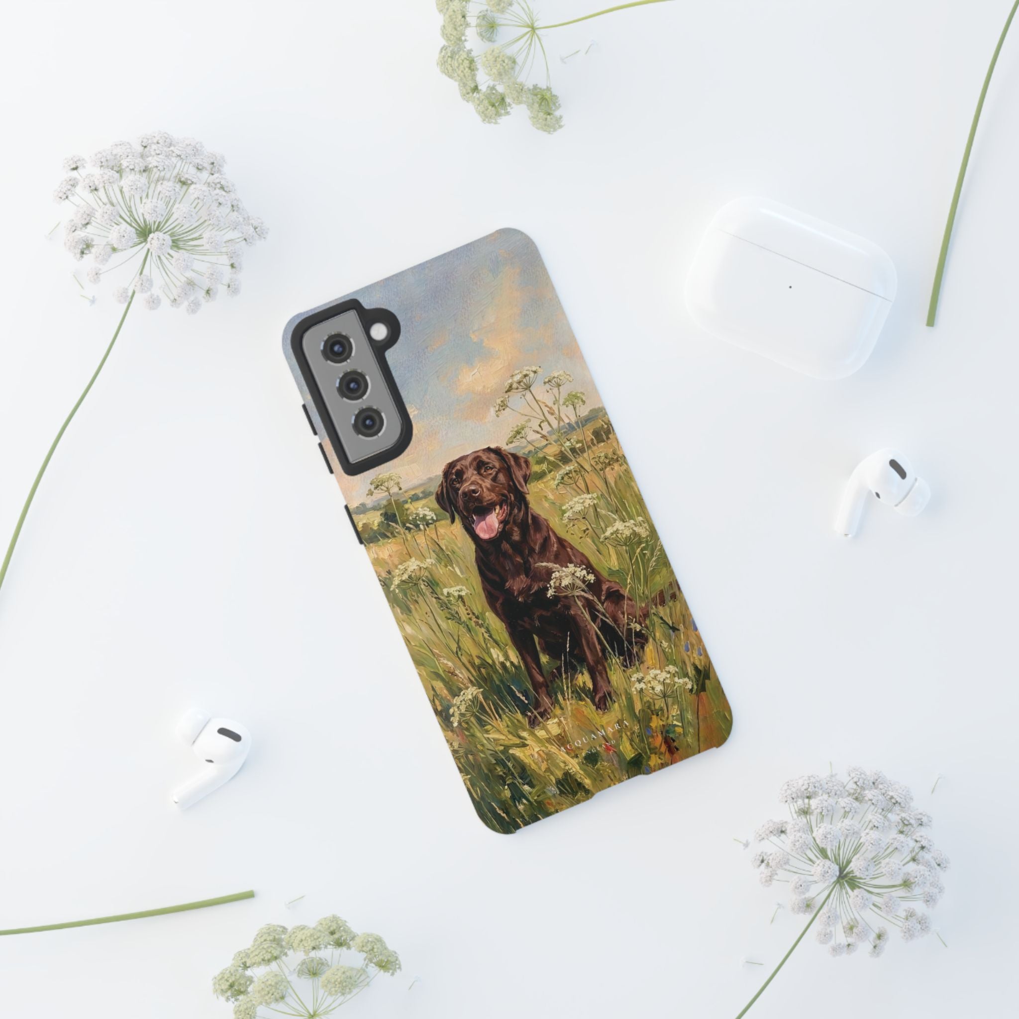 The Labrador (Chocolate)