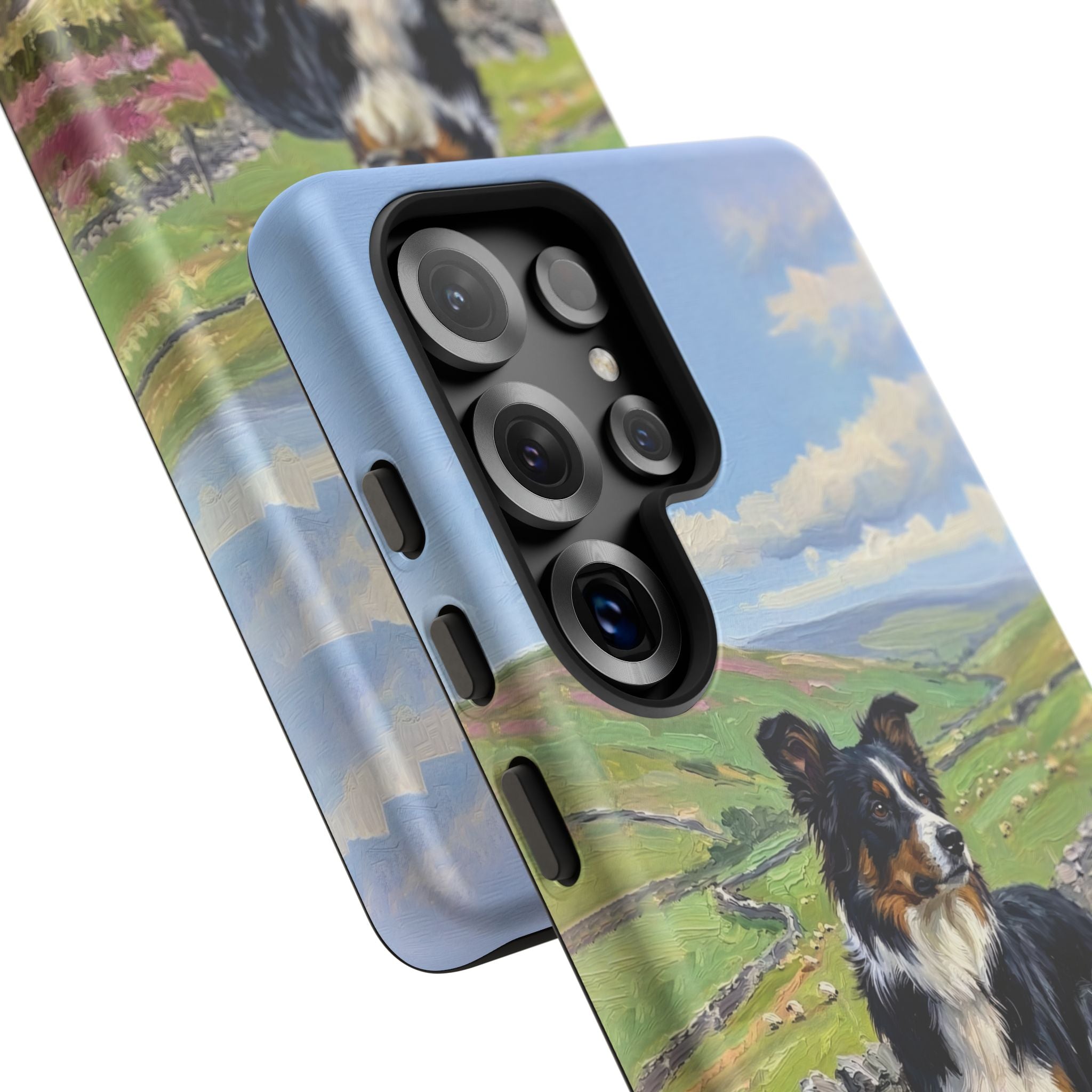 The Border Collie