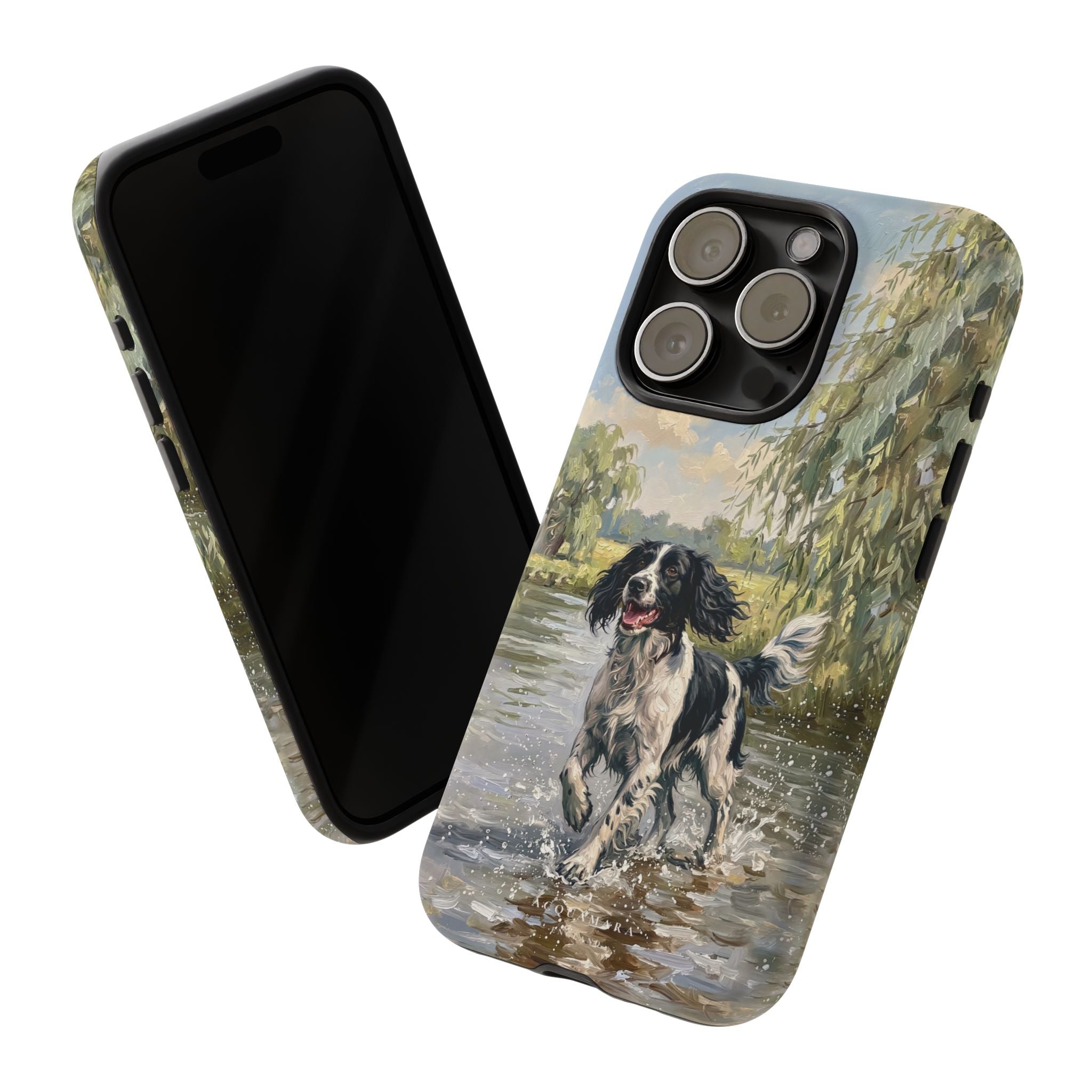 The Springer Spaniel (Black and White)