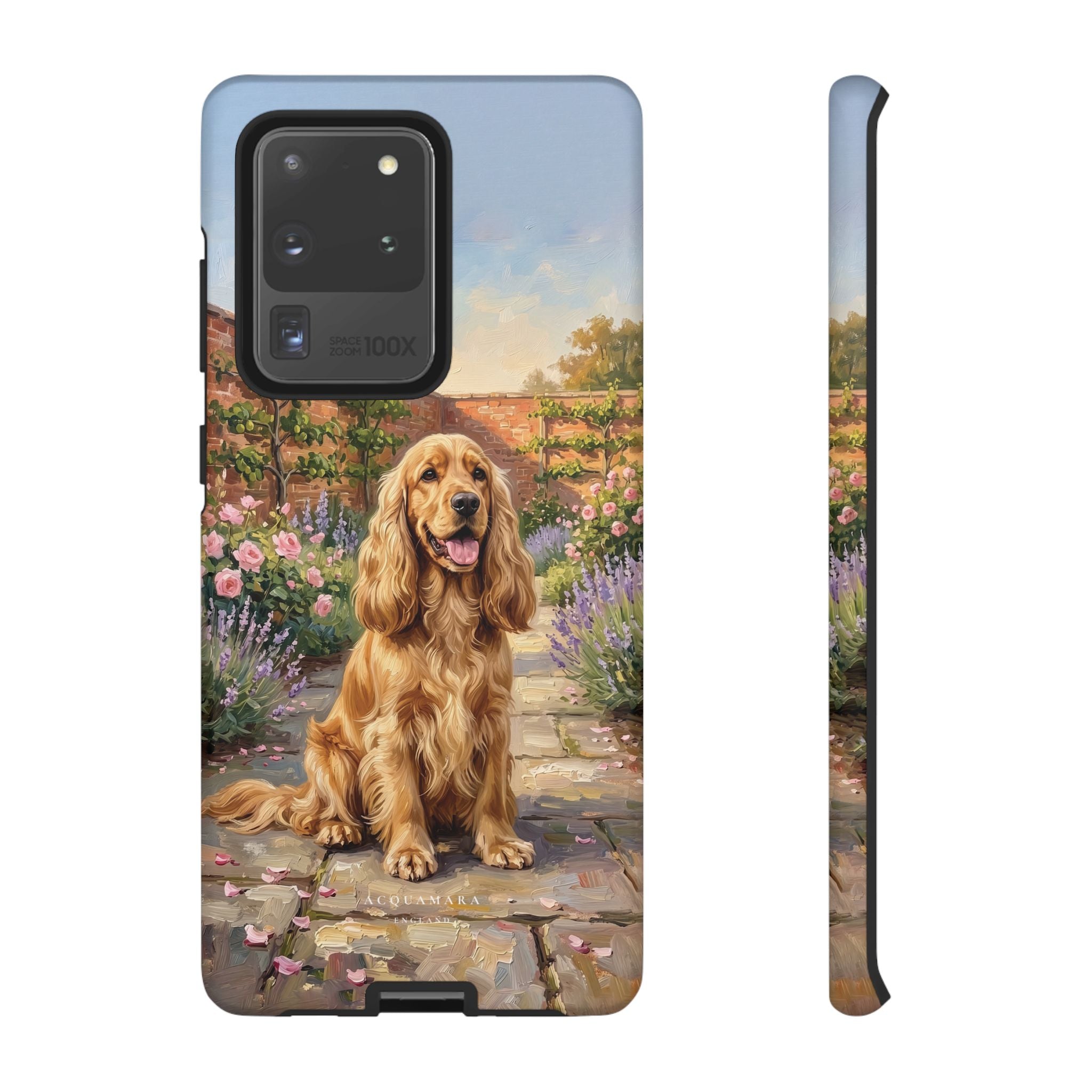 The Show Cocker (Golden)