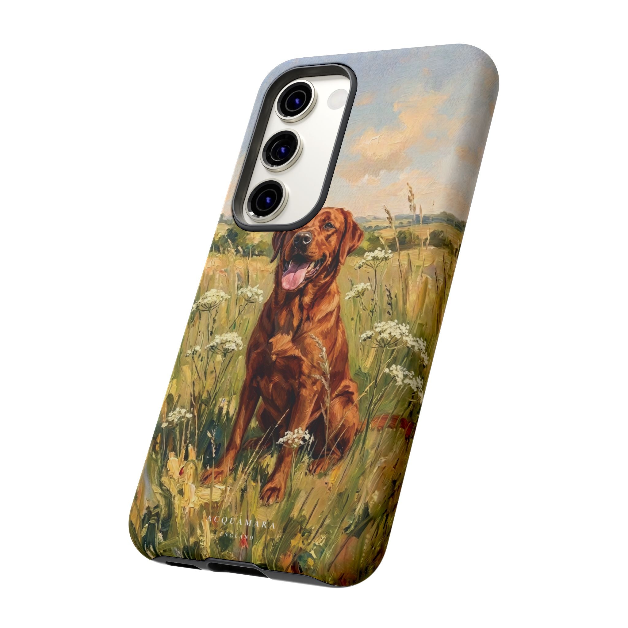 The Labrador (Red)