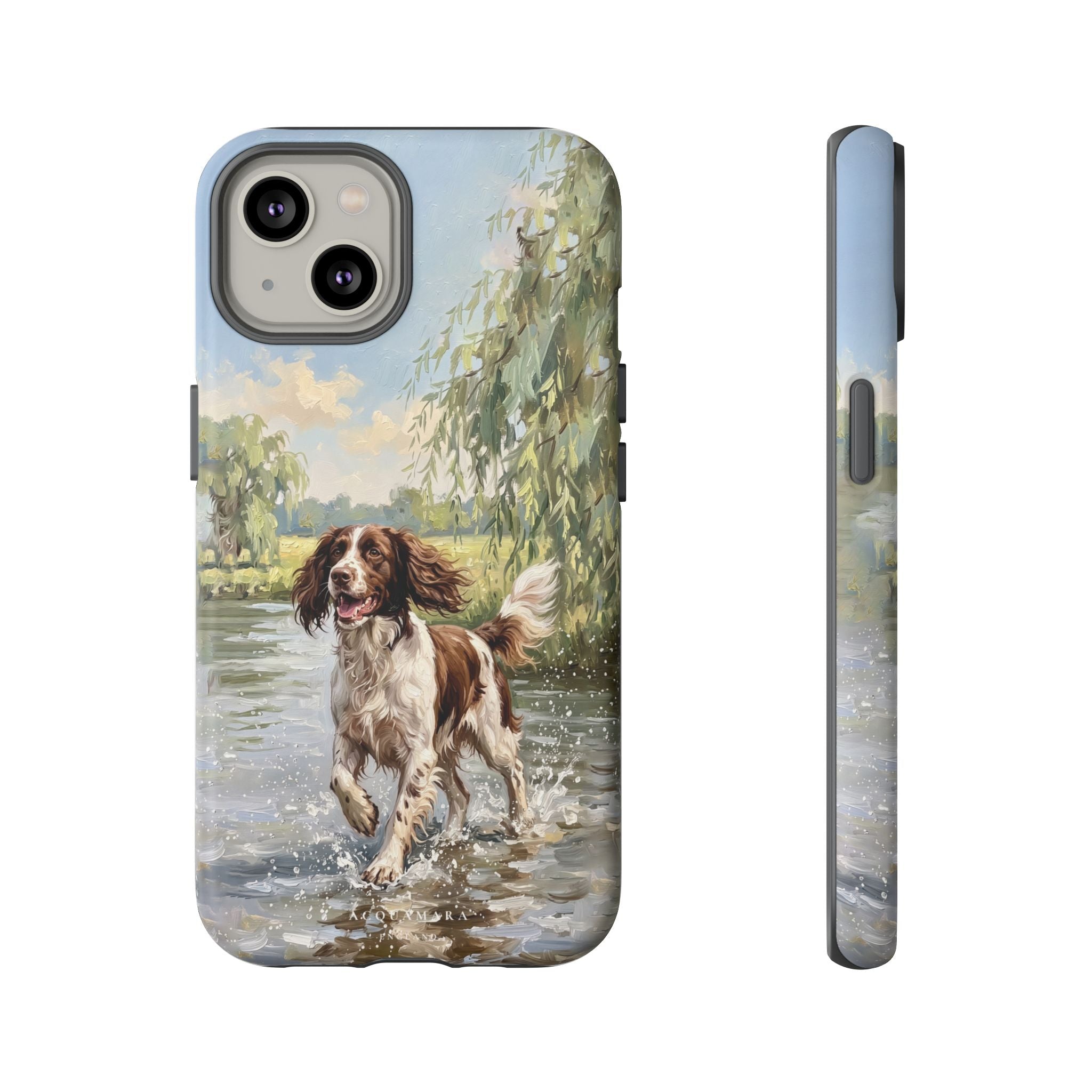 The Springer Spaniel (Liver and White)