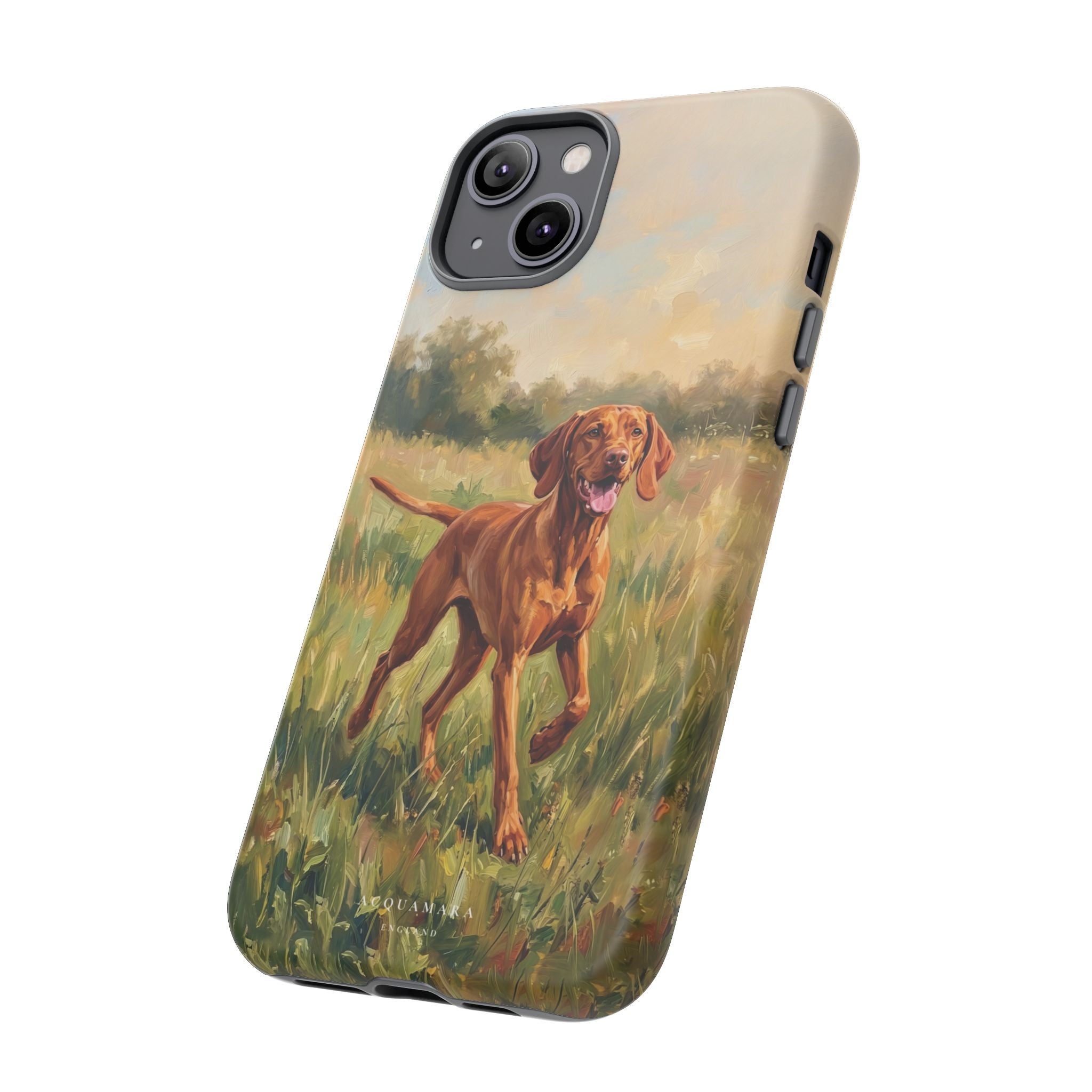 The Hungarian Vizsla