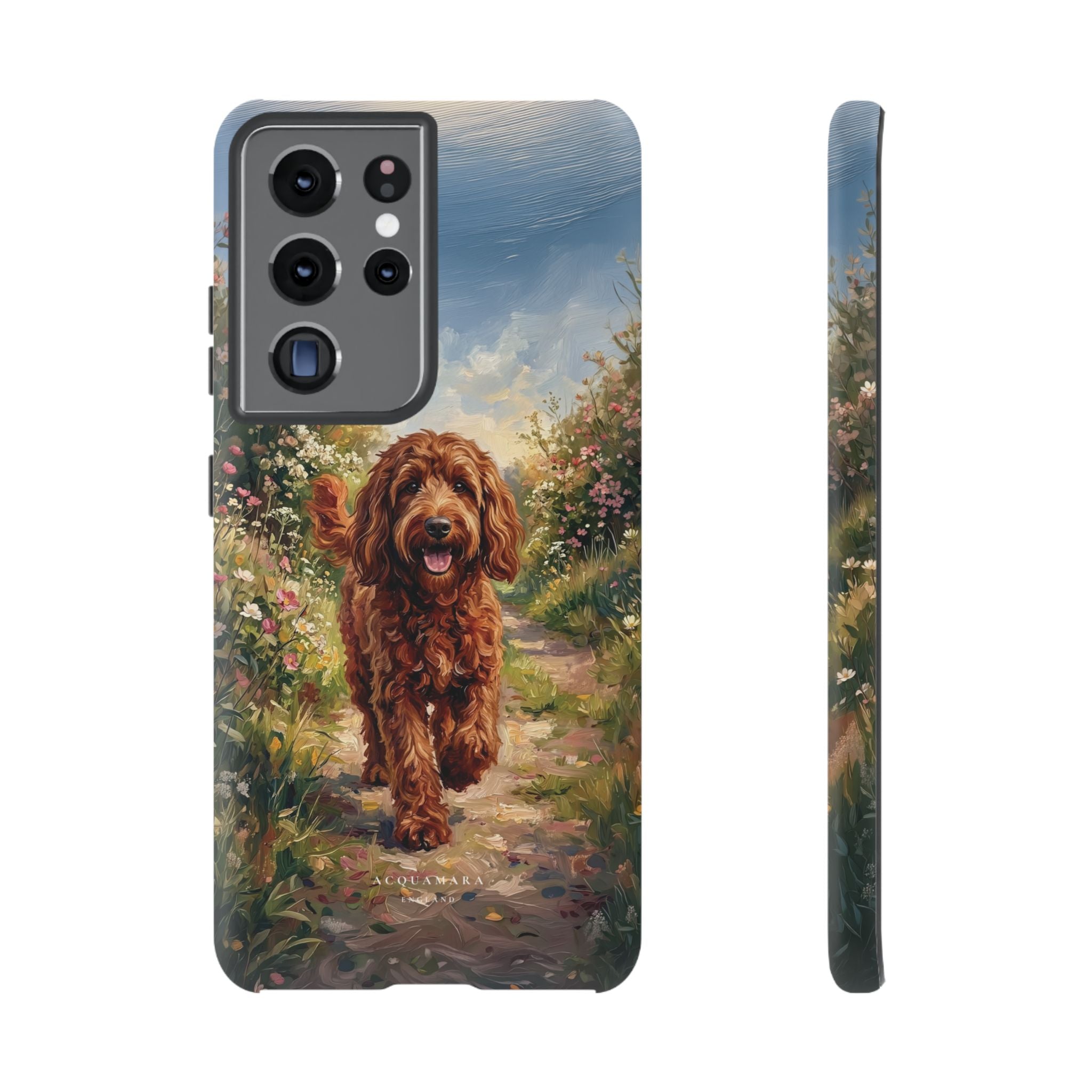 The Goldendoodle