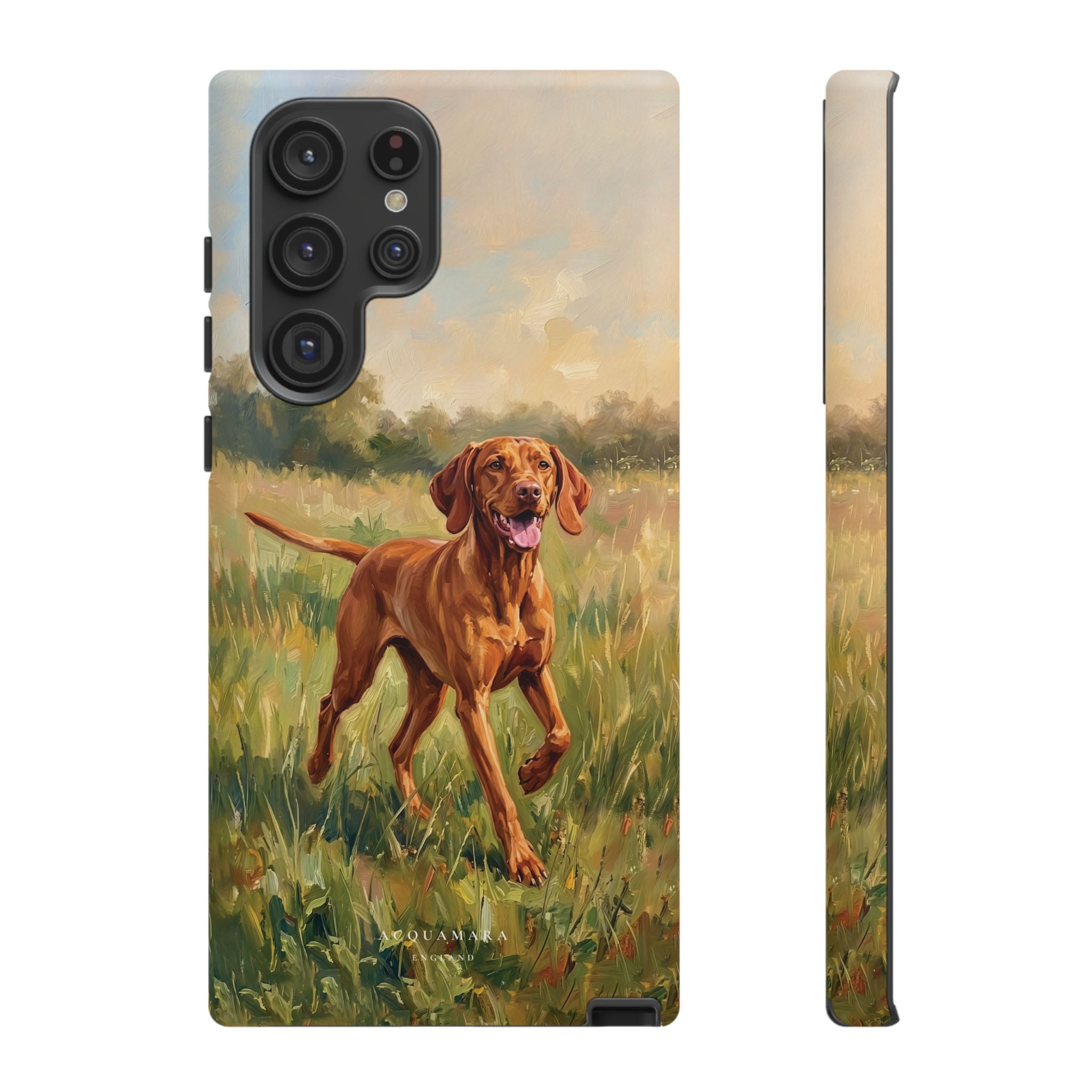 The Hungarian Vizsla