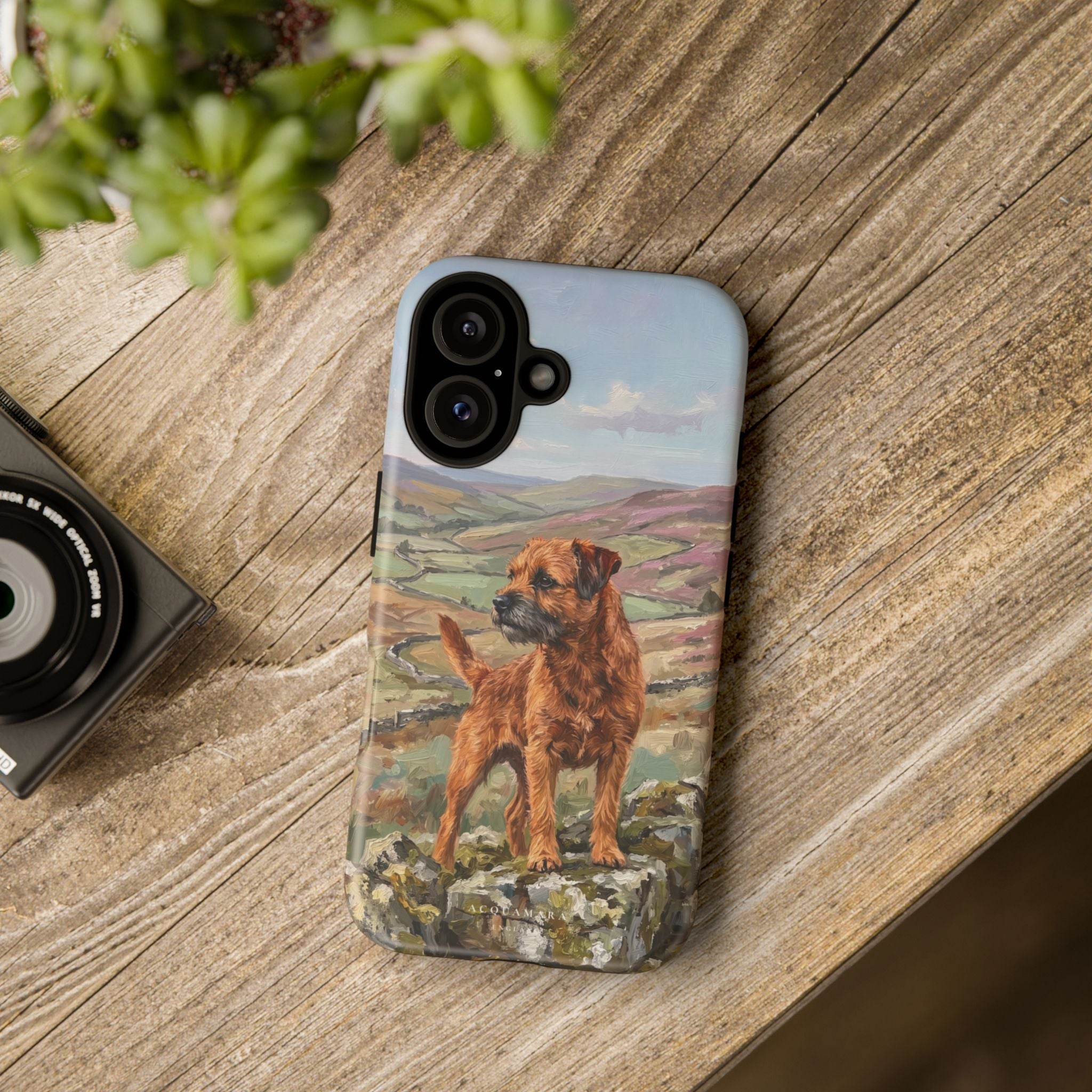 The Border Terrier (Red)