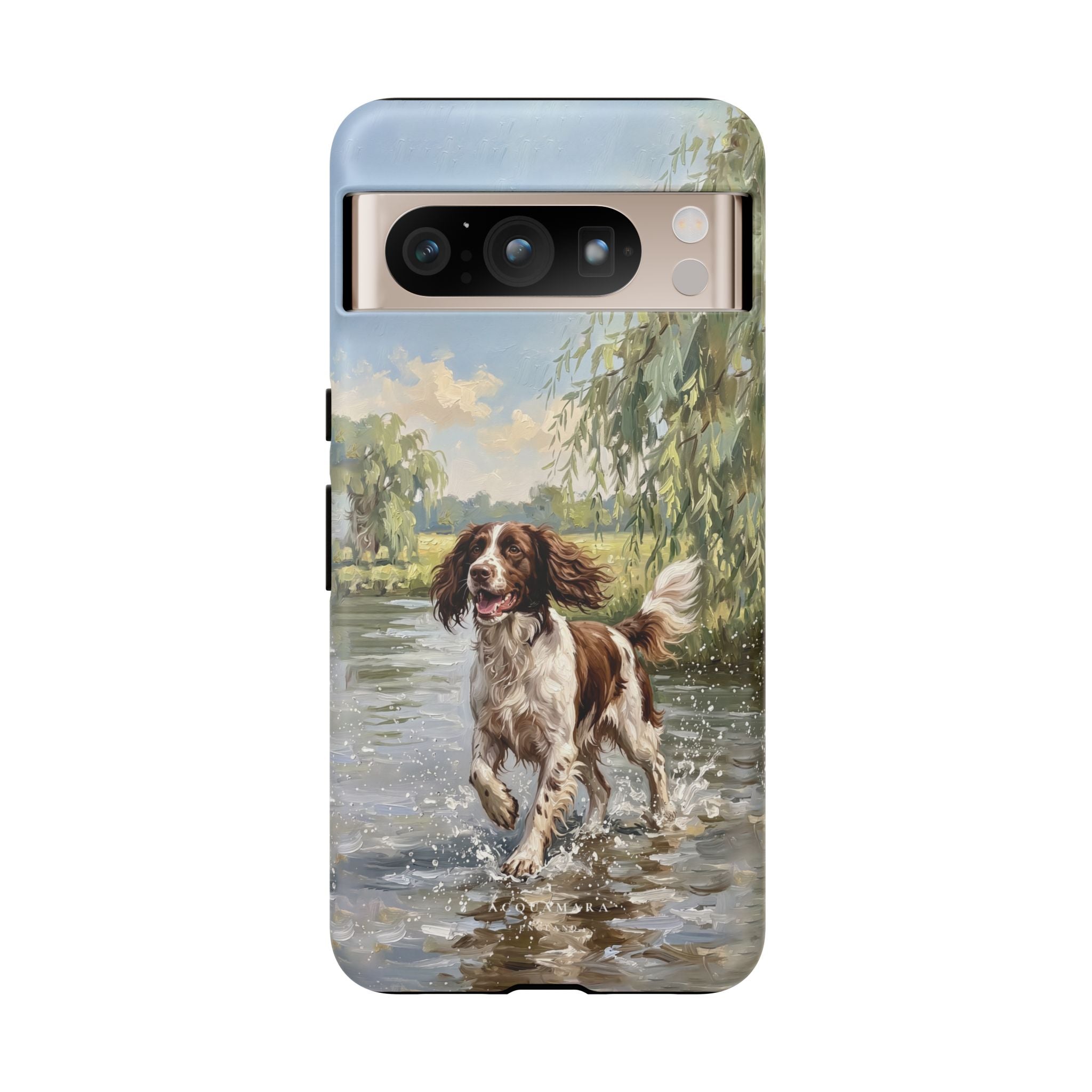 The Springer Spaniel (Liver and White)