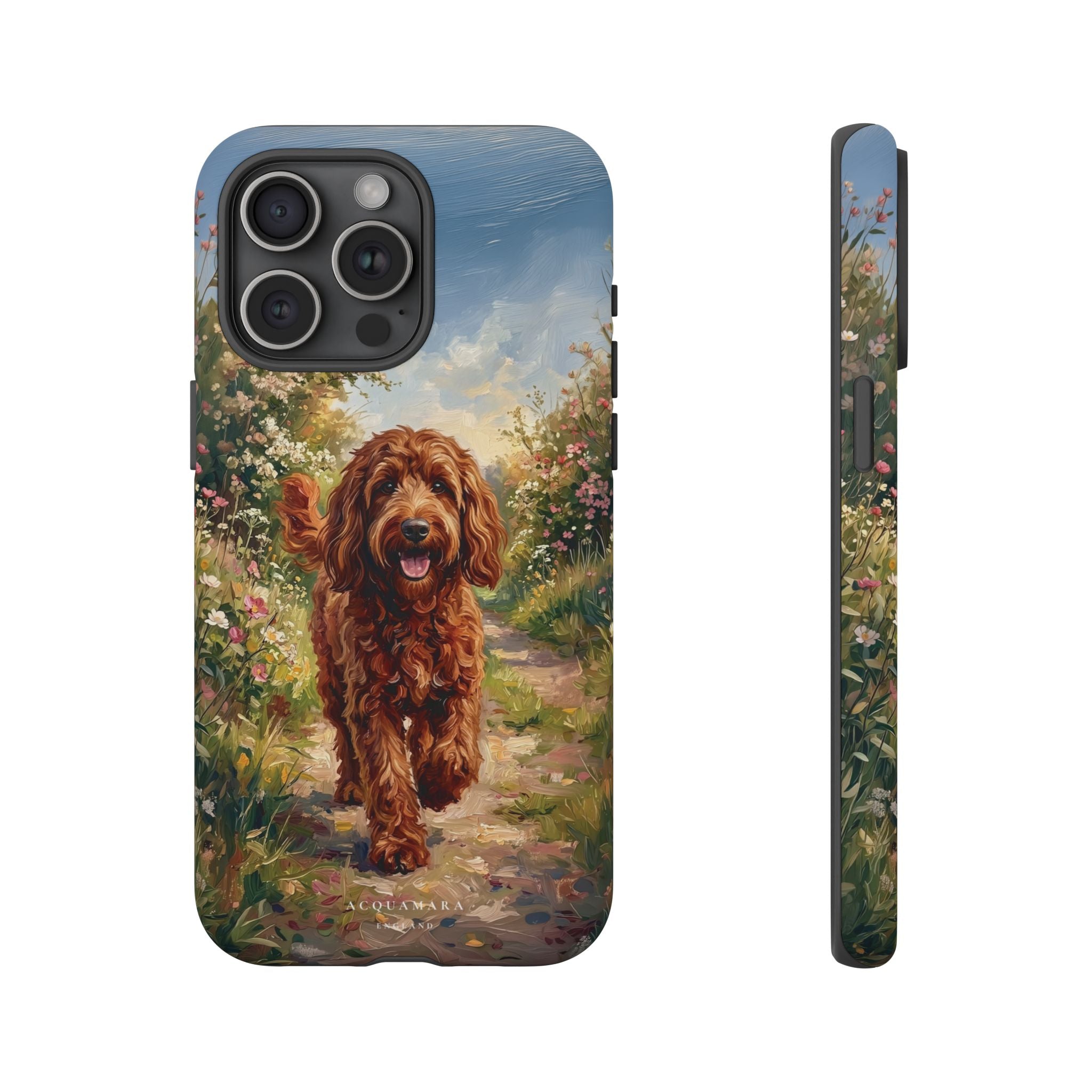 The Goldendoodle