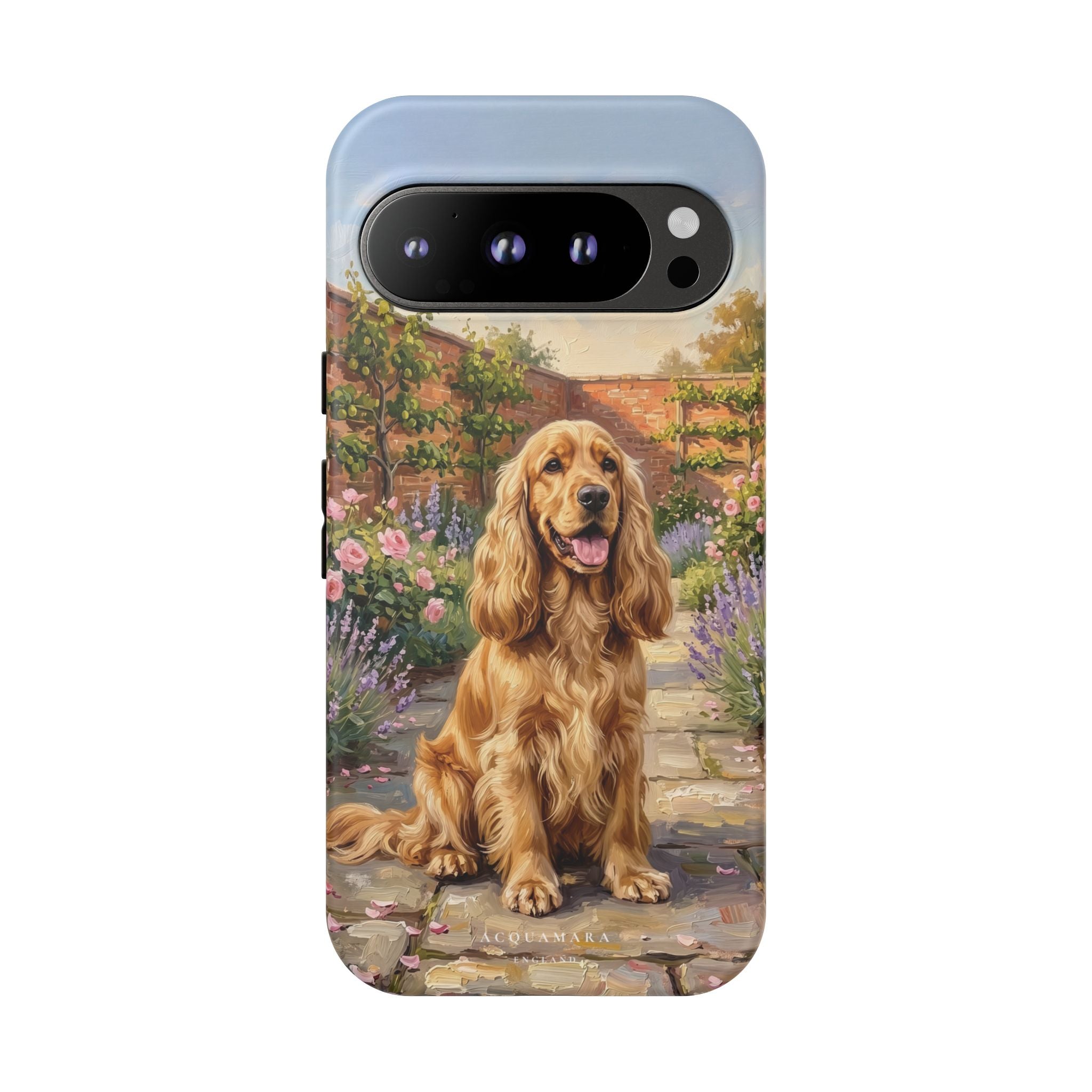 The Show Cocker (Golden)