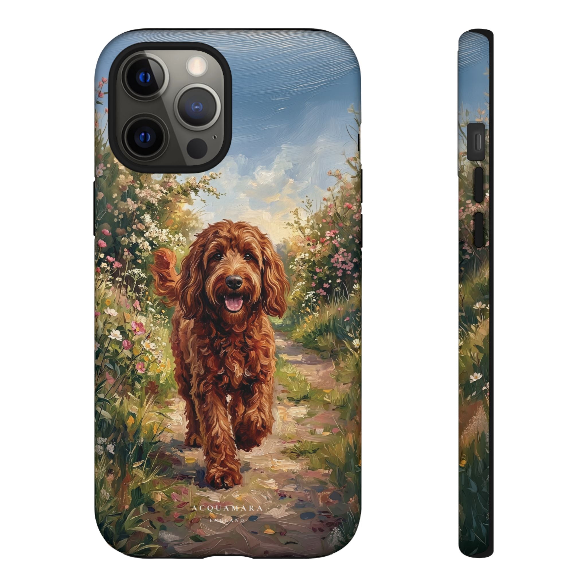 The Goldendoodle