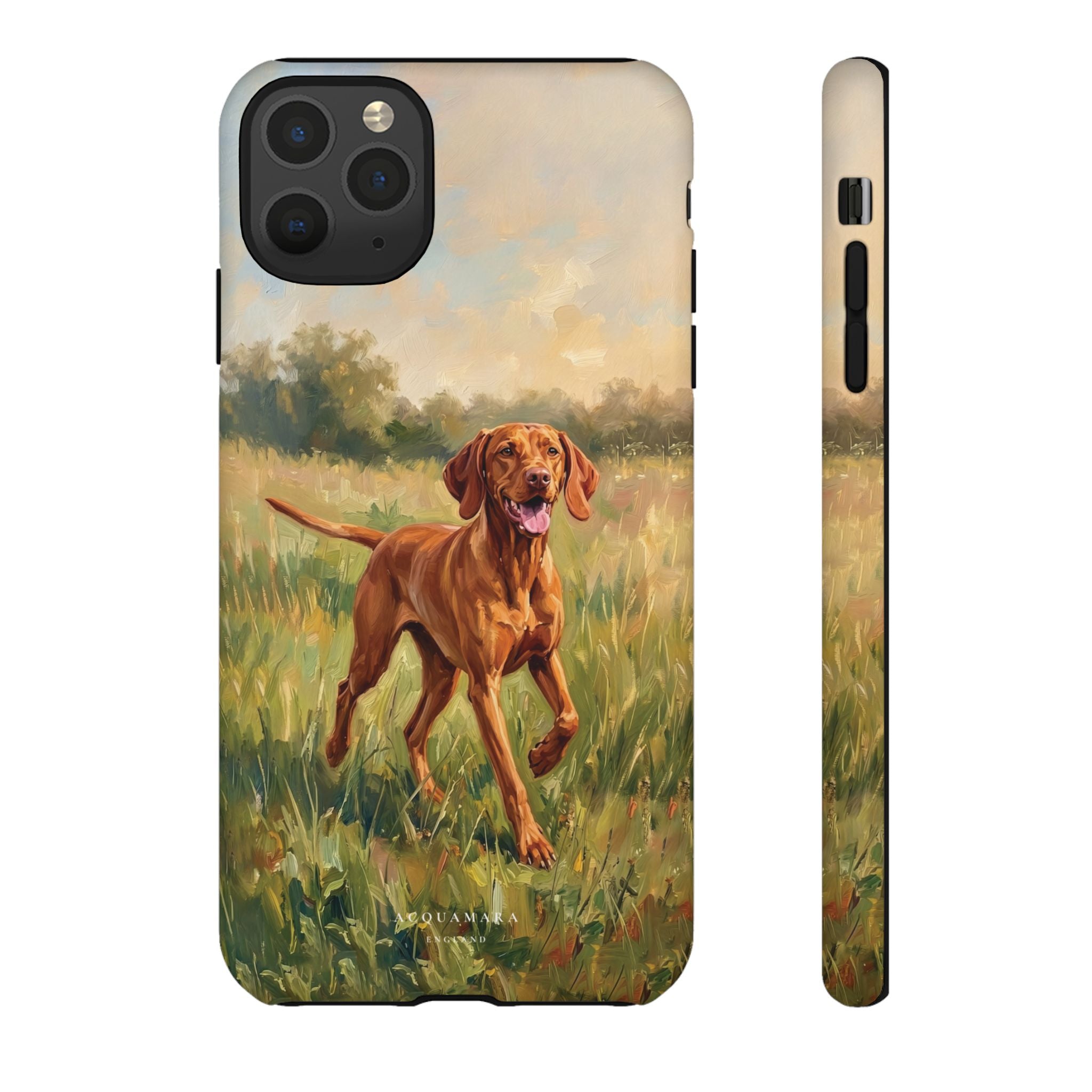The Hungarian Vizsla
