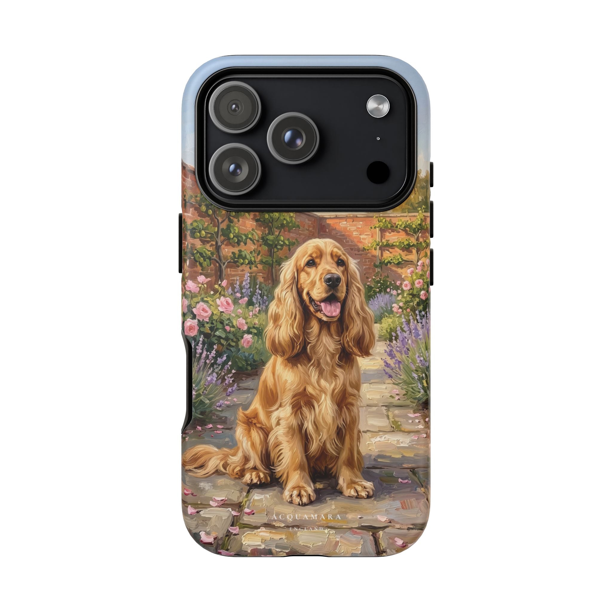 The Show Cocker (Golden)