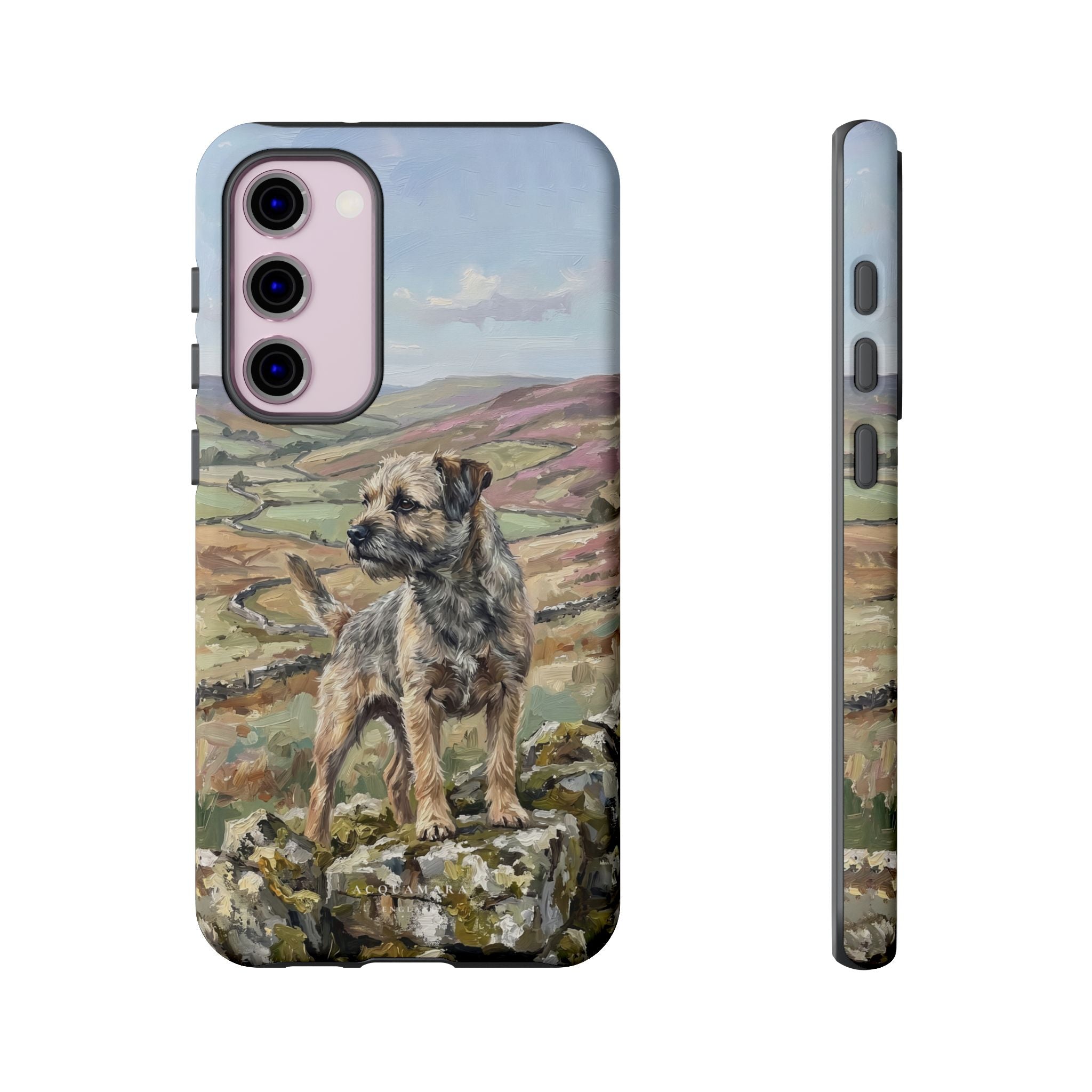 The Border Terrier (Grizzle and Tan)