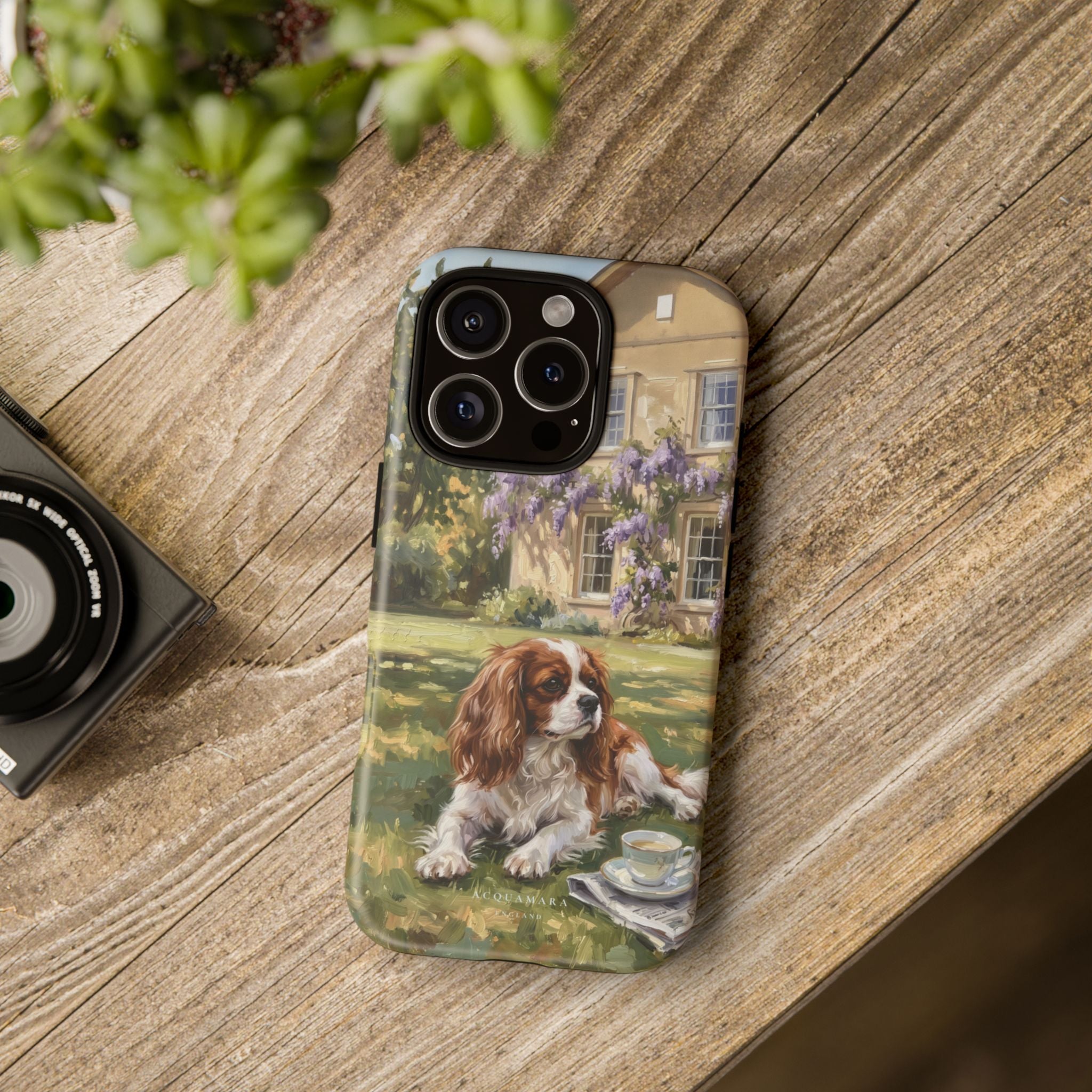 The Cavalier King Charles Spaniel