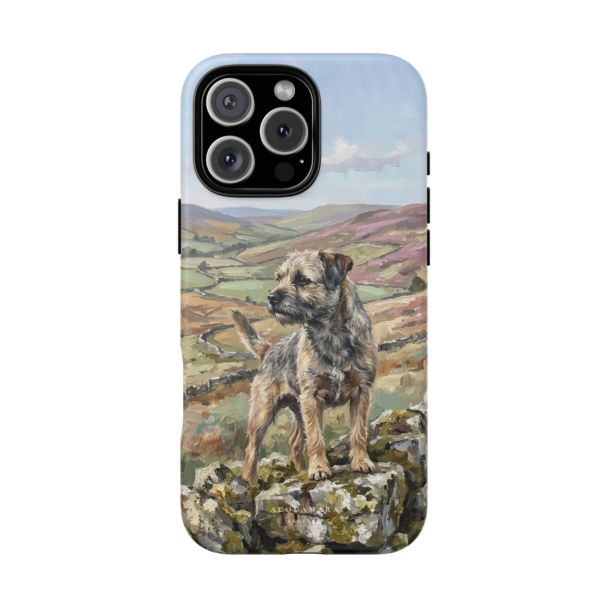 The Border Terrier (Grizzle and Tan)