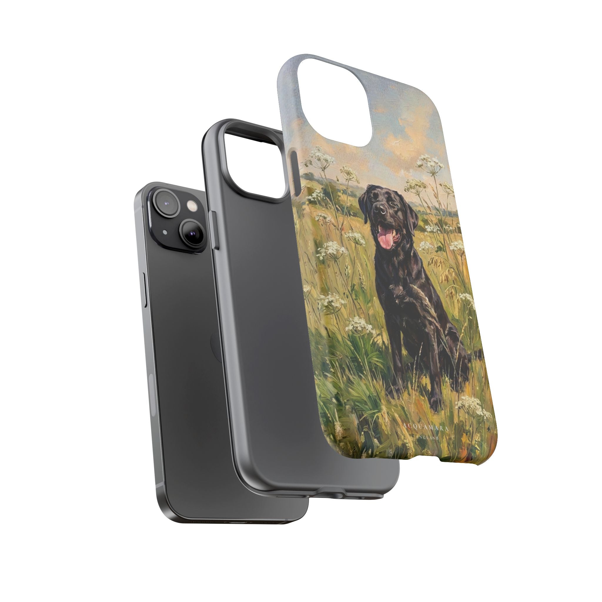 The Labrador (Black)