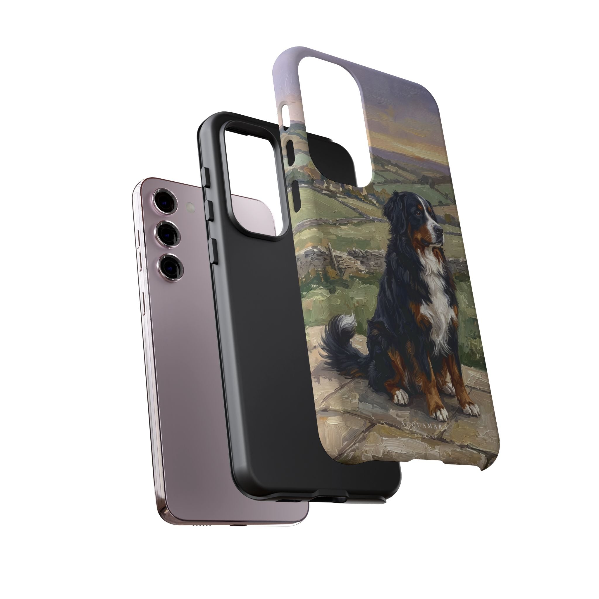 The Bernese Mountain Dog