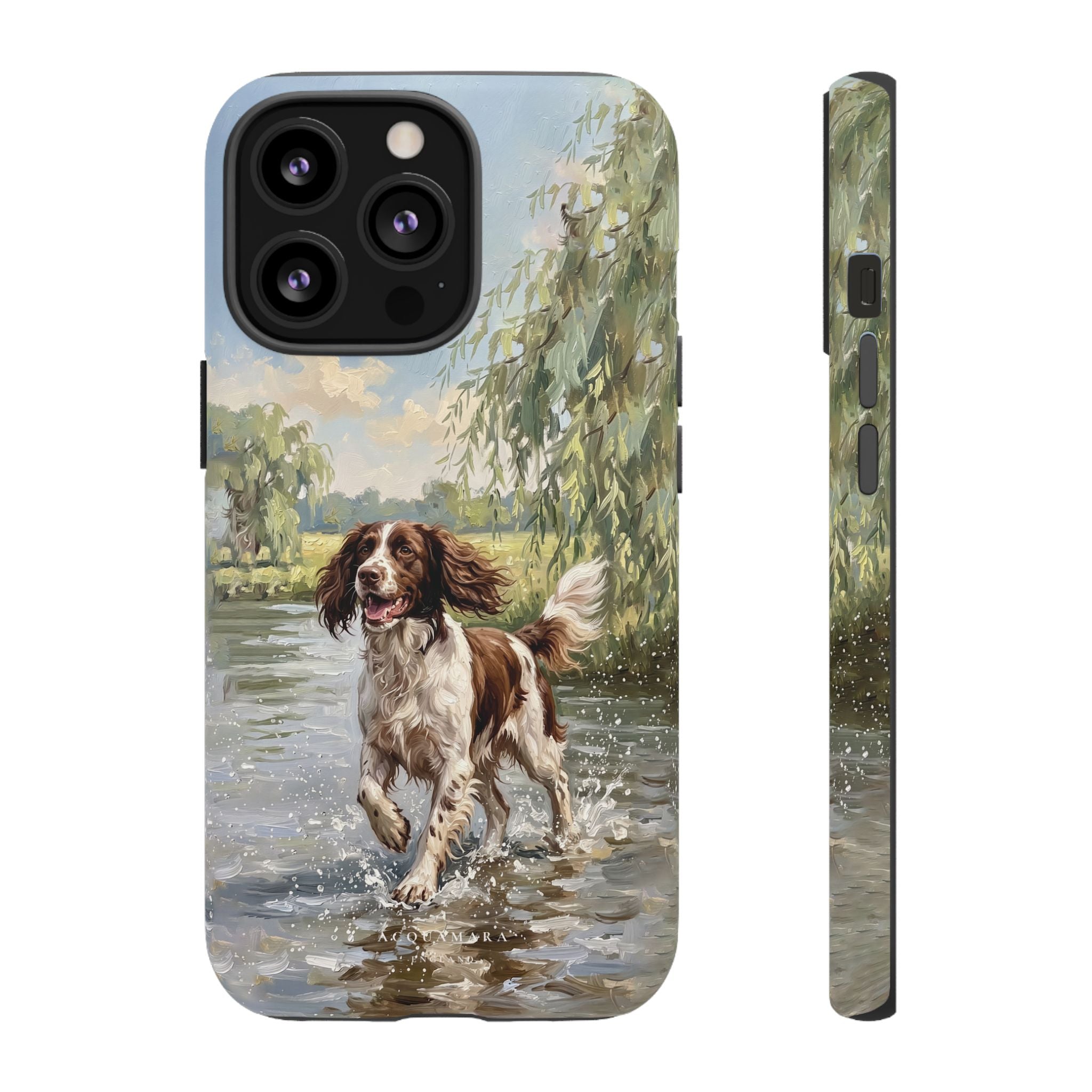 The Springer Spaniel (Liver and White)
