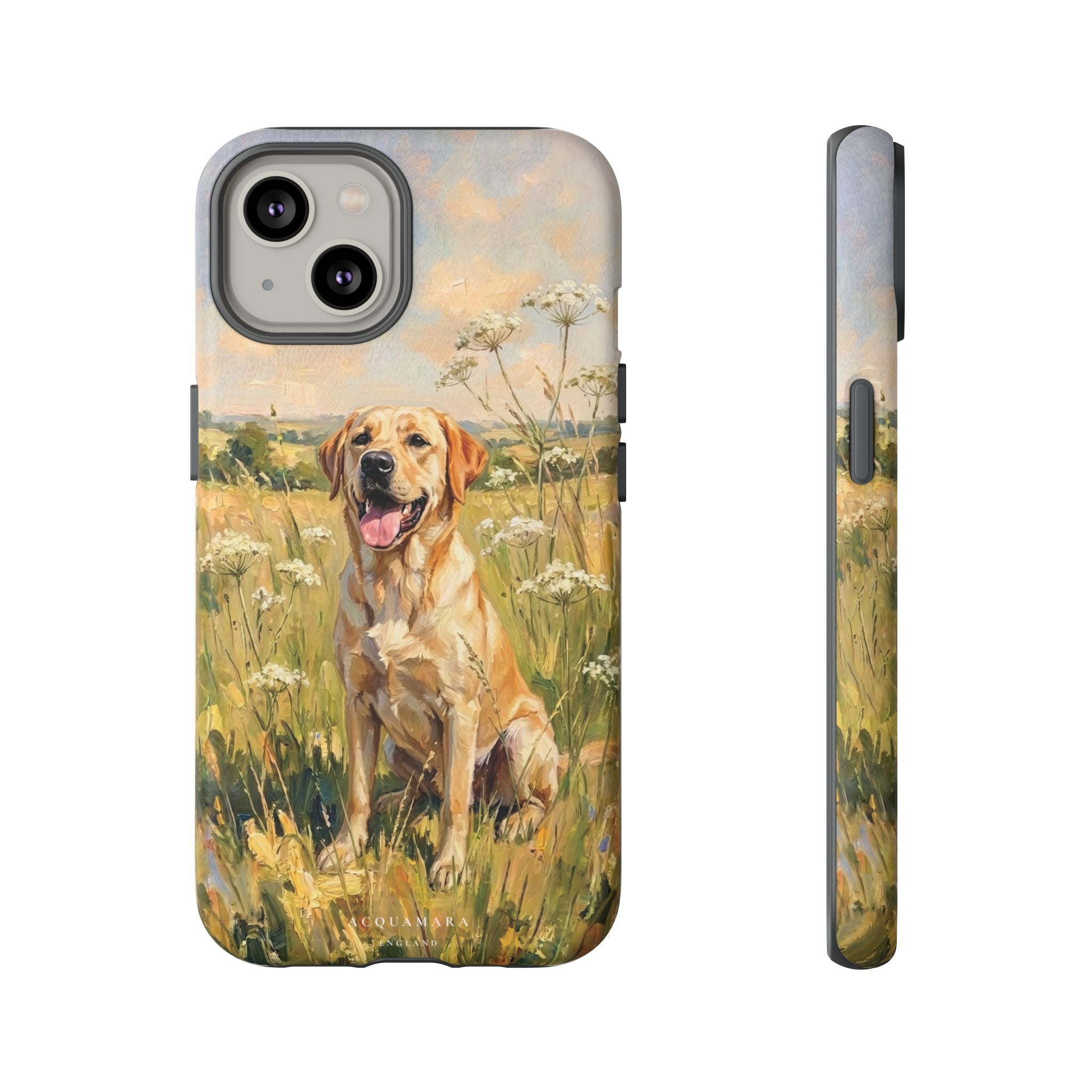 The Labrador (Yellow)