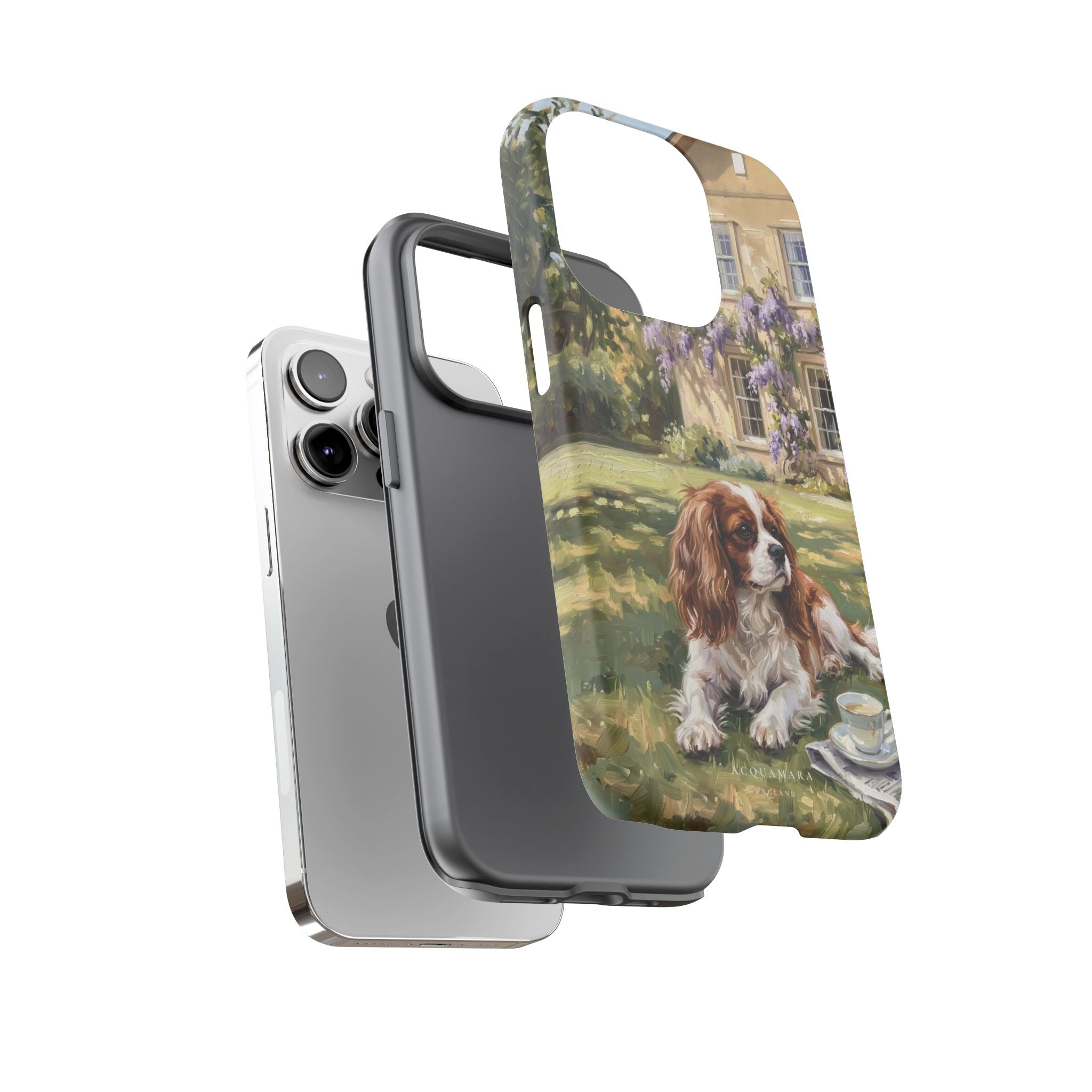 The Cavalier King Charles Spaniel
