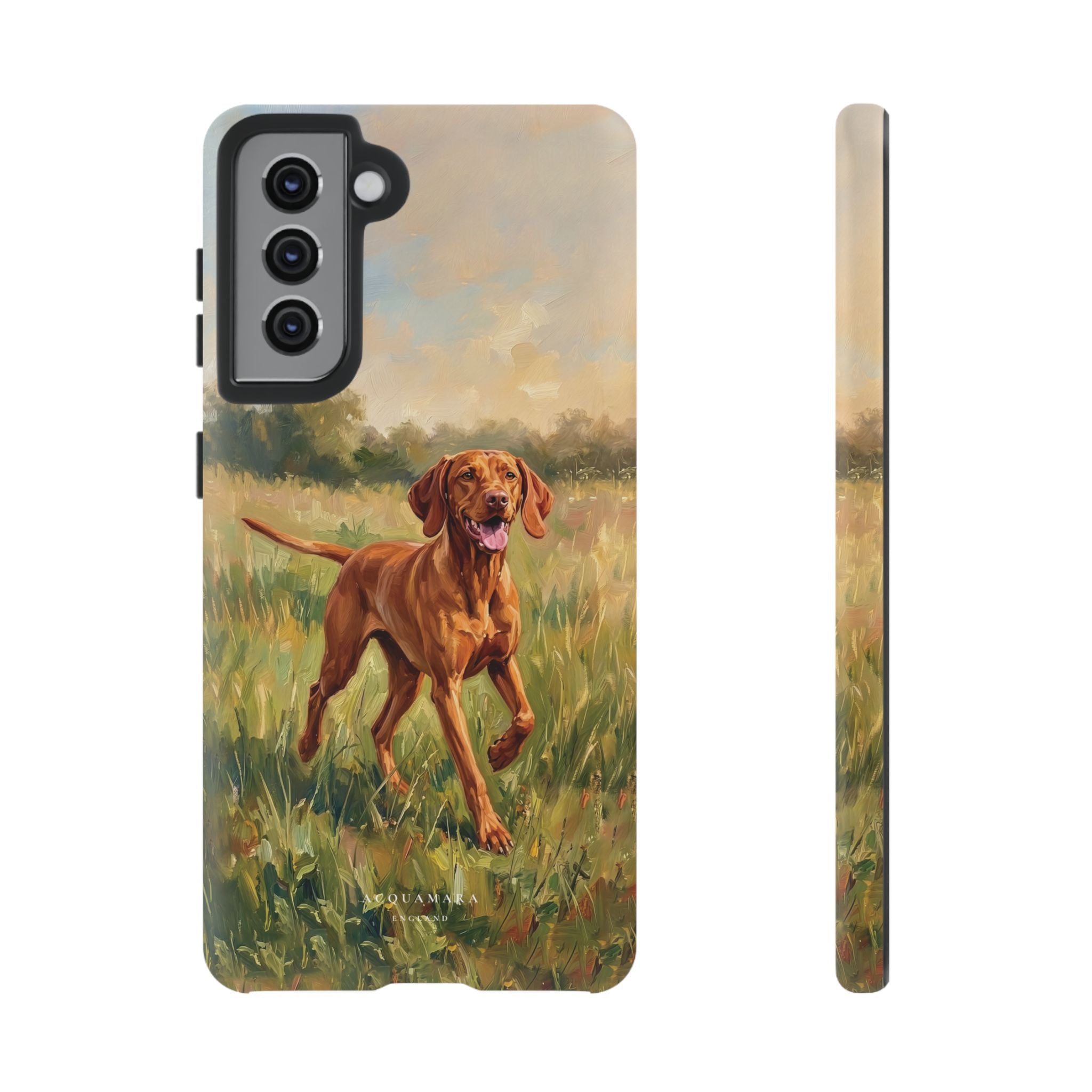 The Hungarian Vizsla