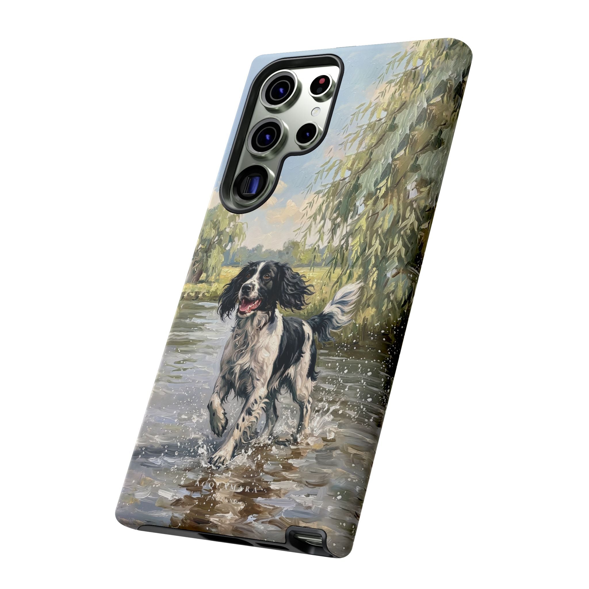 The Springer Spaniel (Black and White)