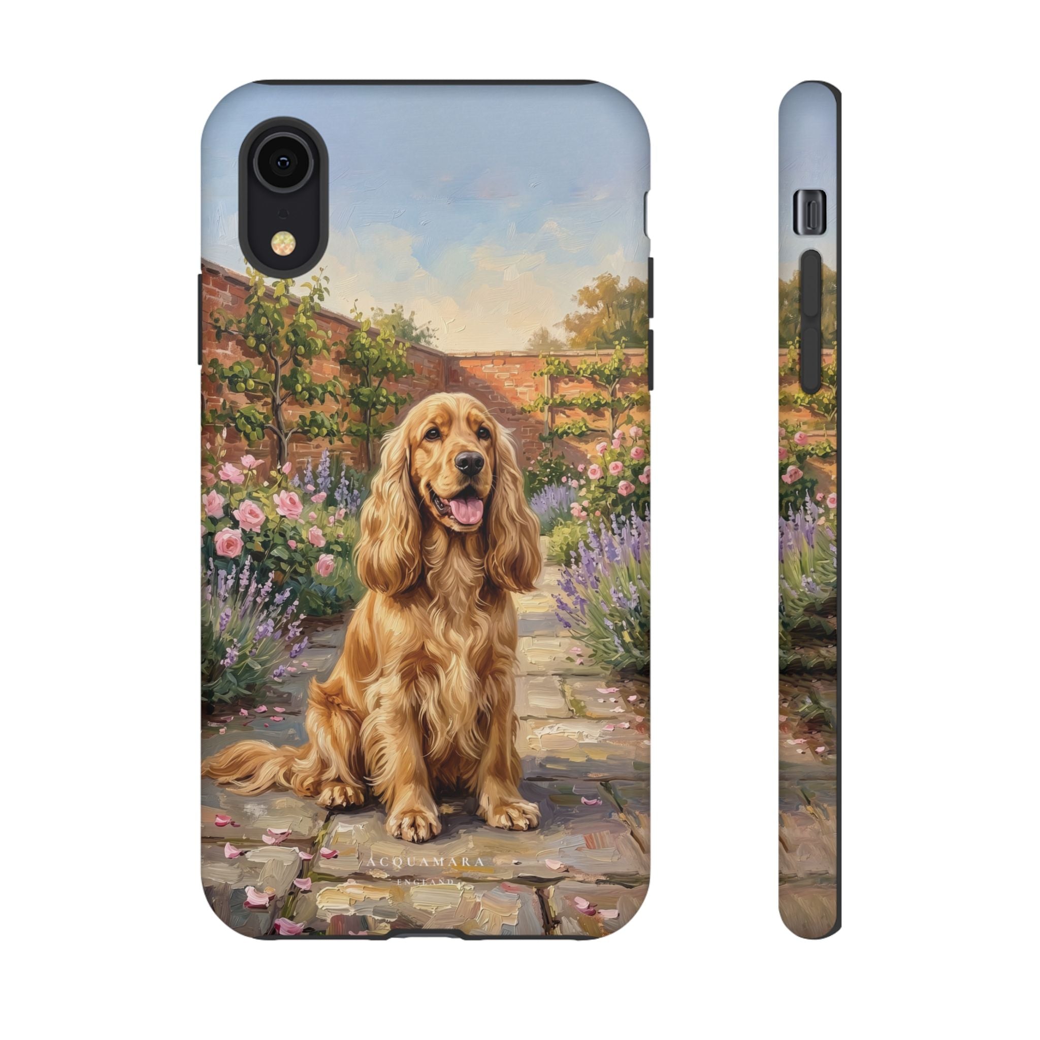 The Show Cocker (Golden)
