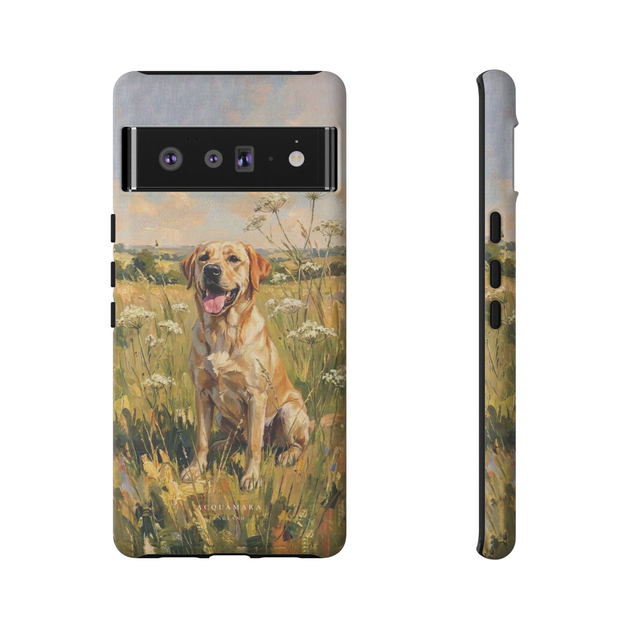 The Labrador (Yellow)