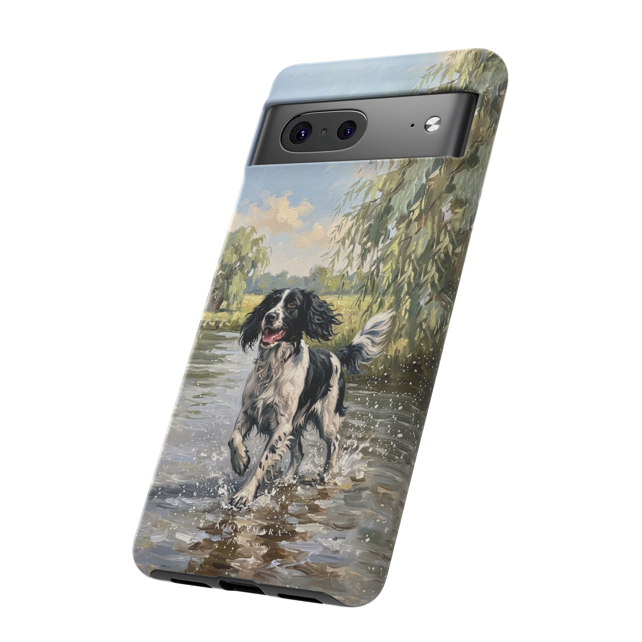 The Springer Spaniel (Black and White)
