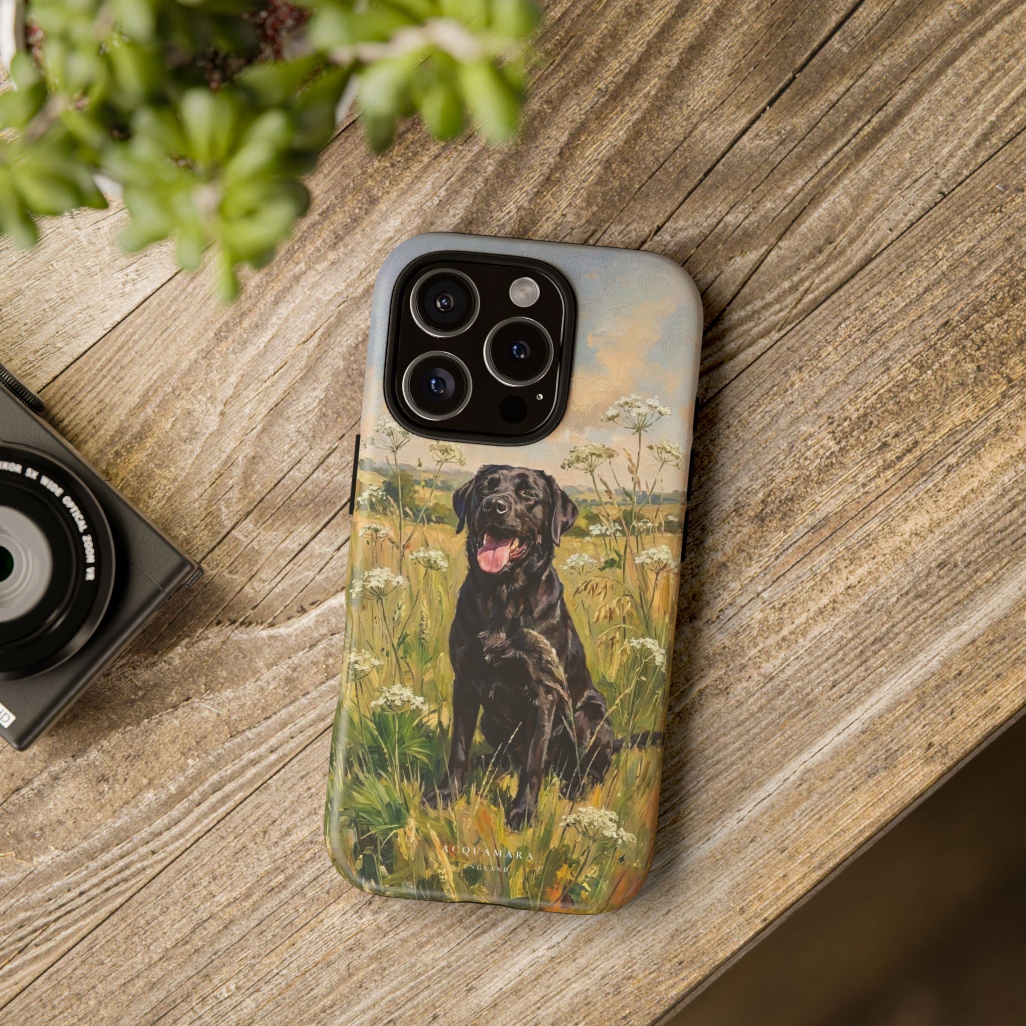 The Labrador (Black)