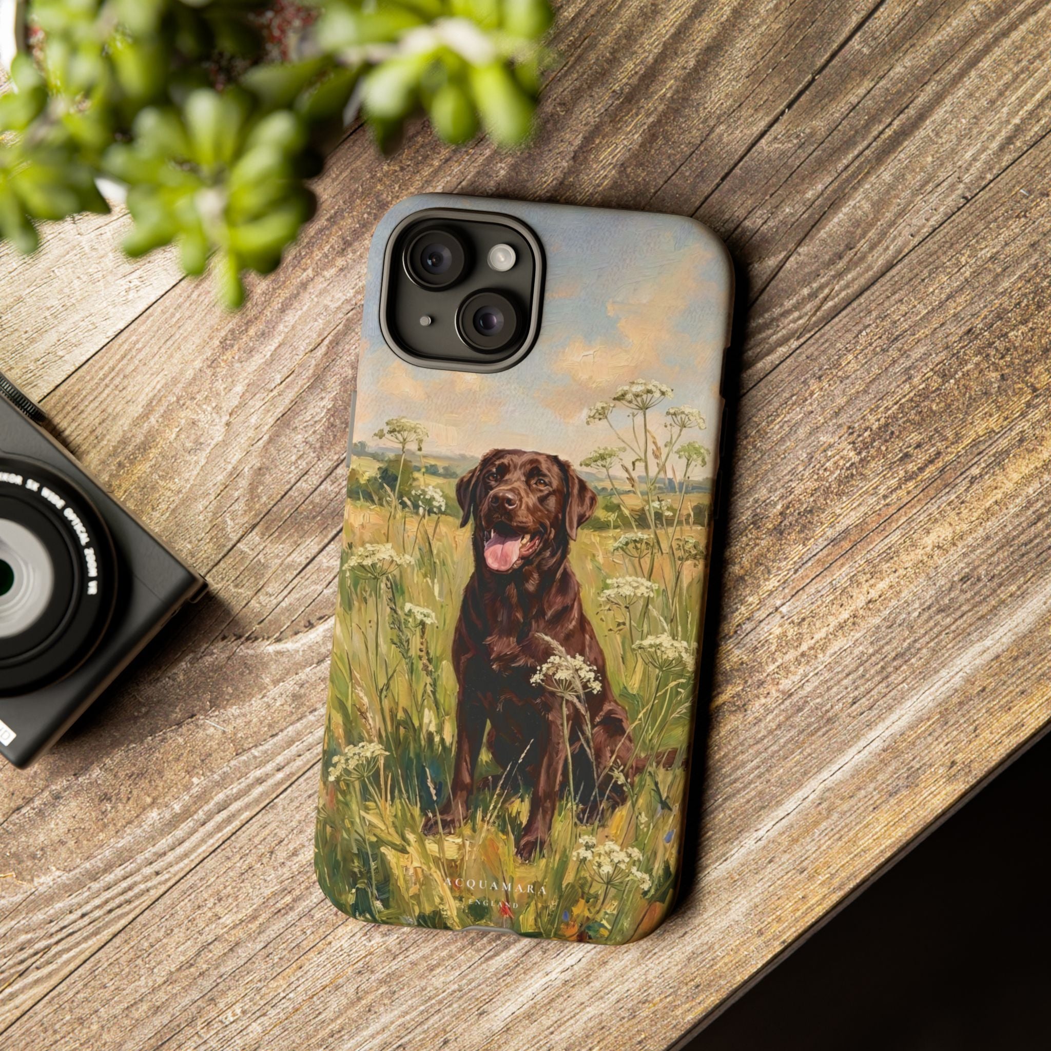 The Labrador (Chocolate)