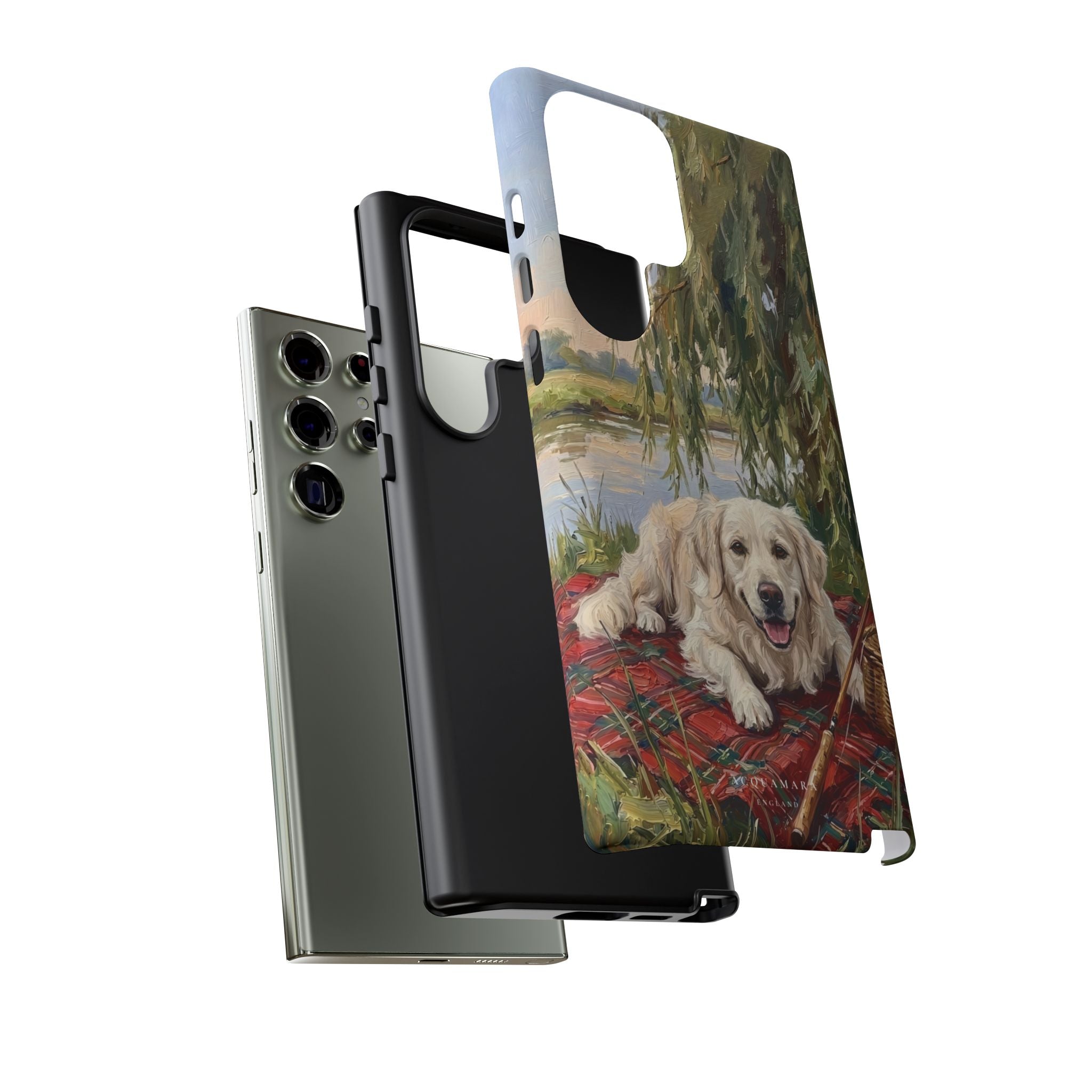 The Golden Retriever (English Cream)
