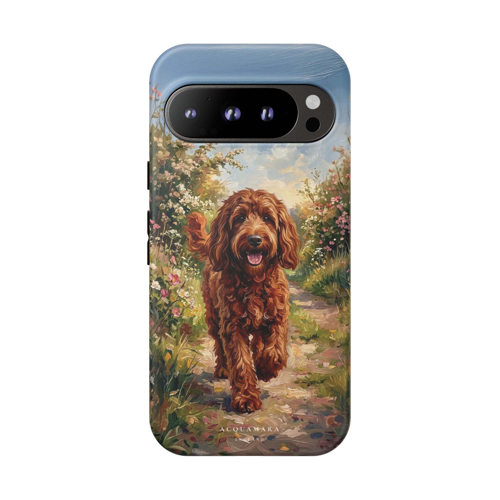 The Goldendoodle