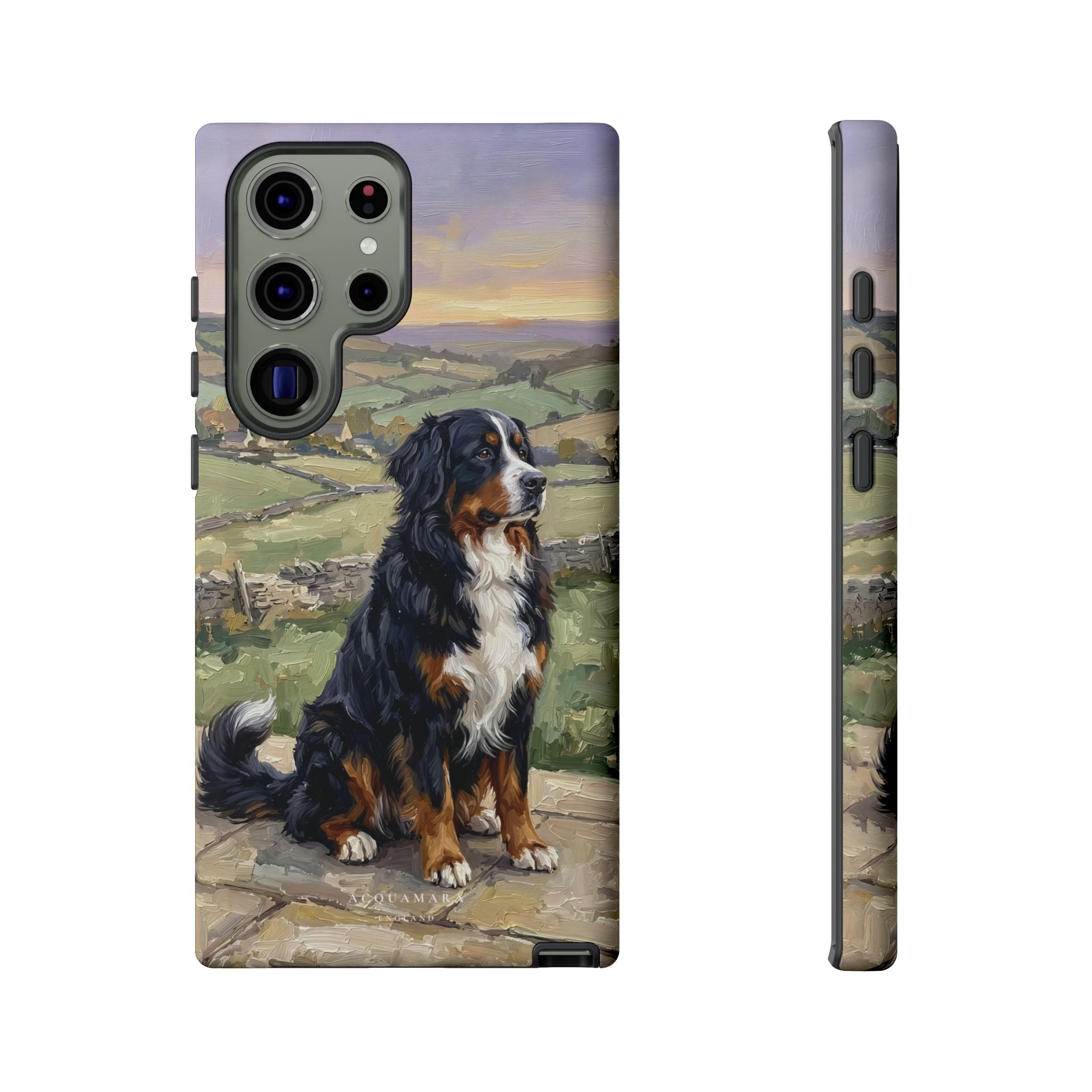 The Bernese Mountain Dog