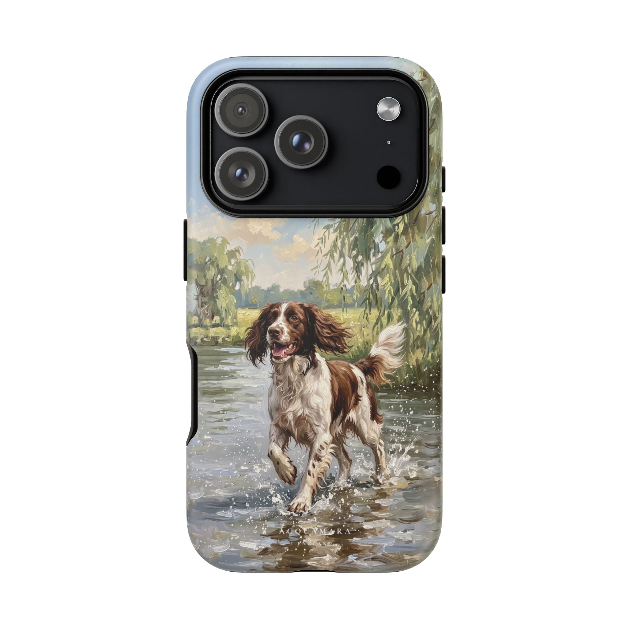The Springer Spaniel (Liver and White)