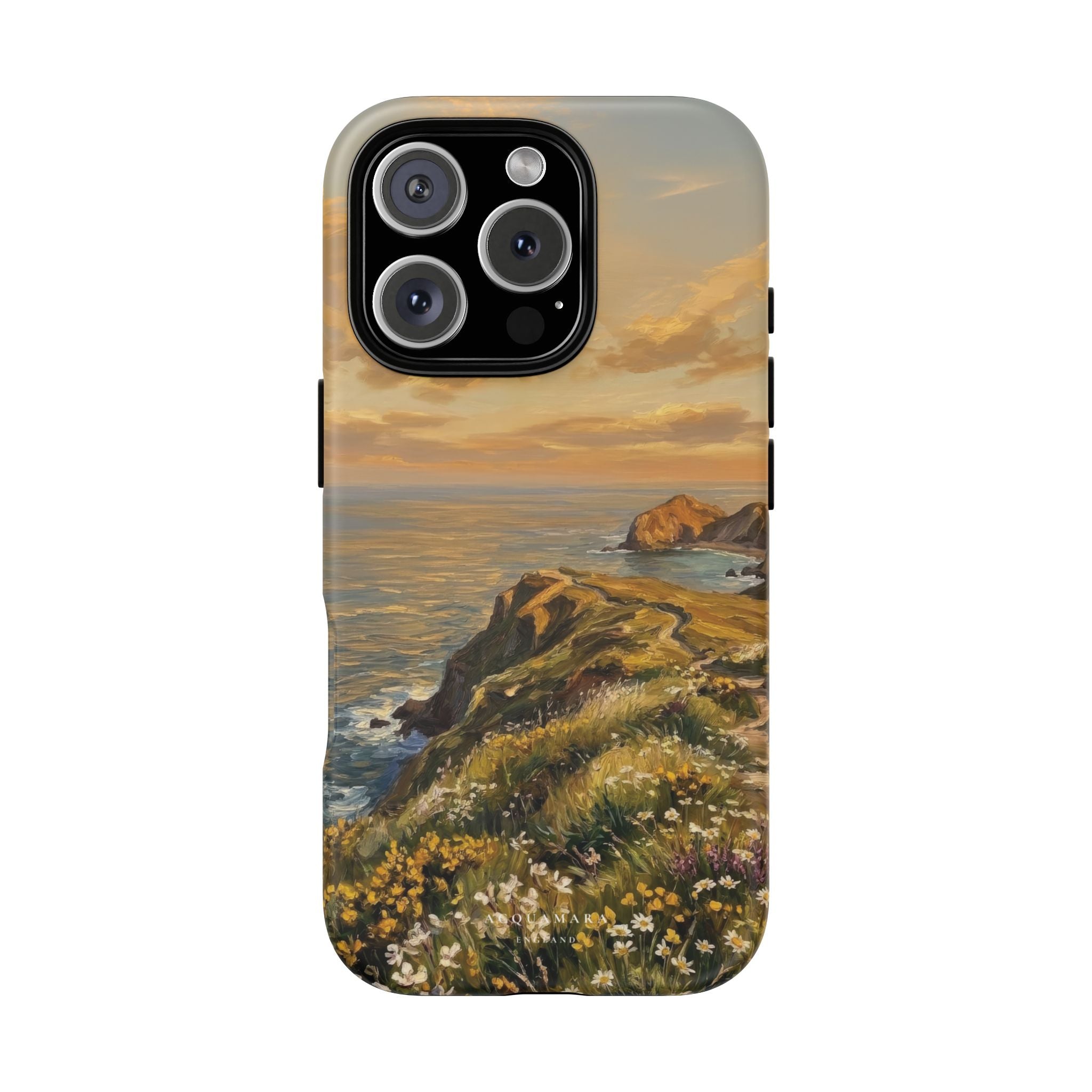 The Cliff Walk