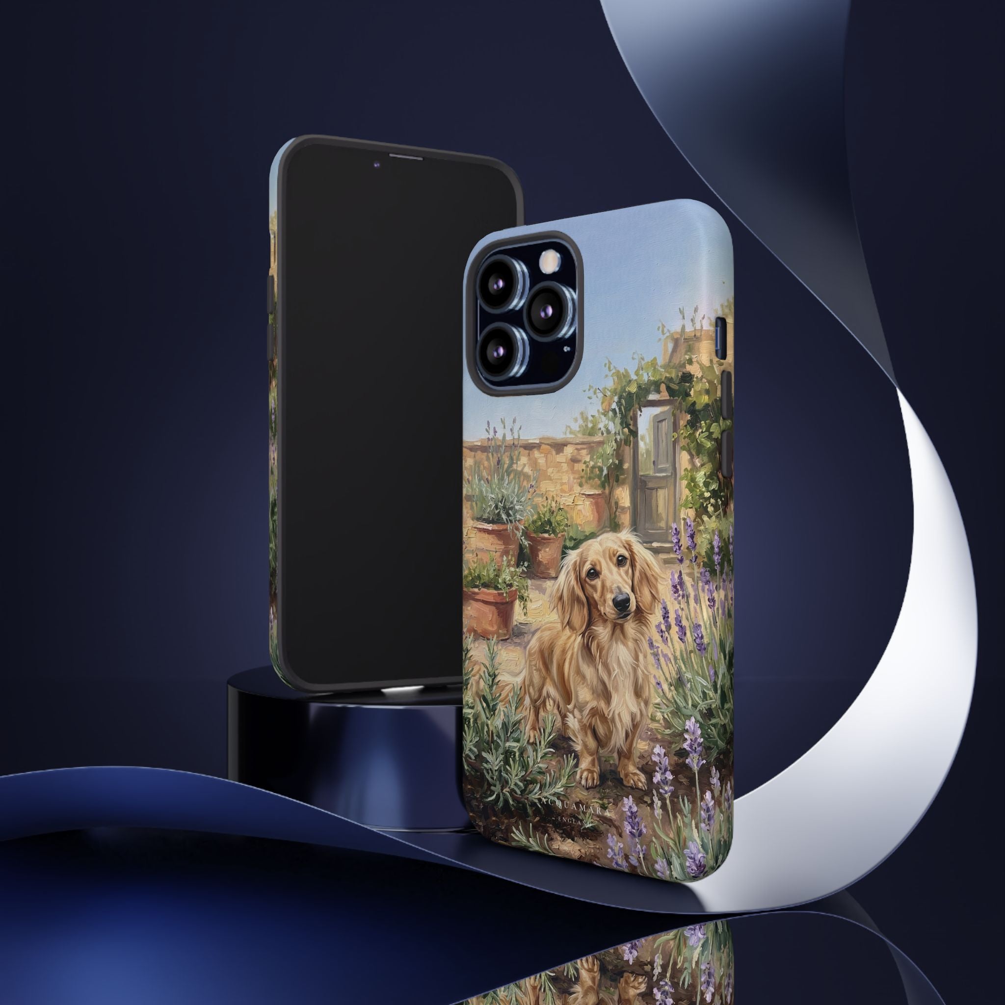 The Dachshund (Blonde long hair)