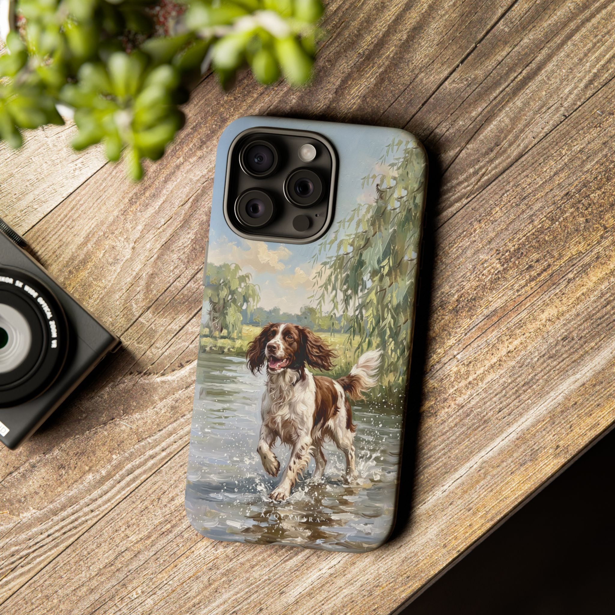 The Springer Spaniel (Liver and White)