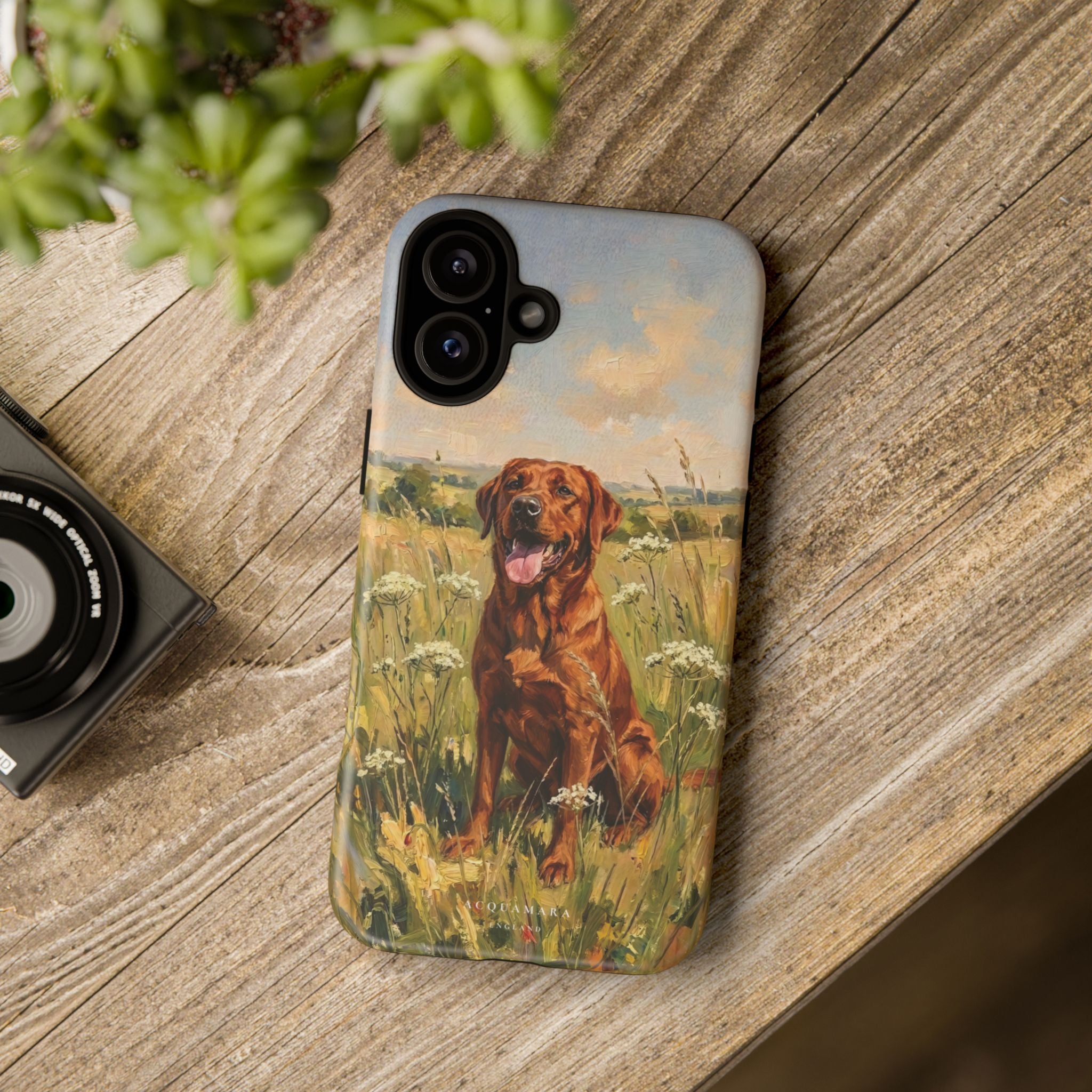 The Labrador (Red)