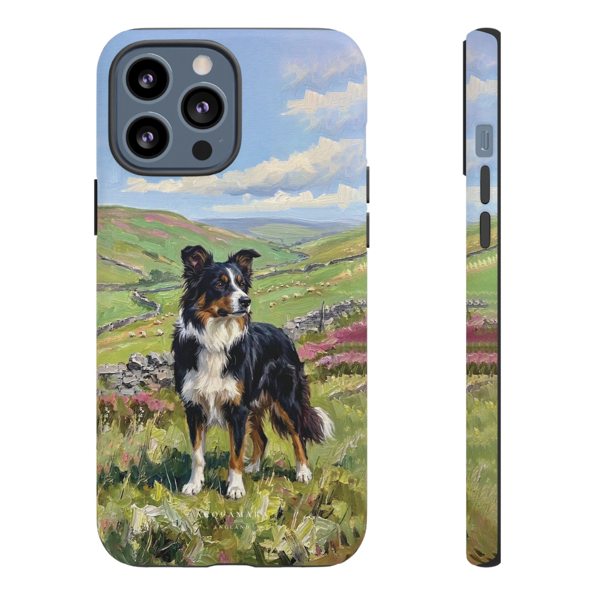 The Border Collie