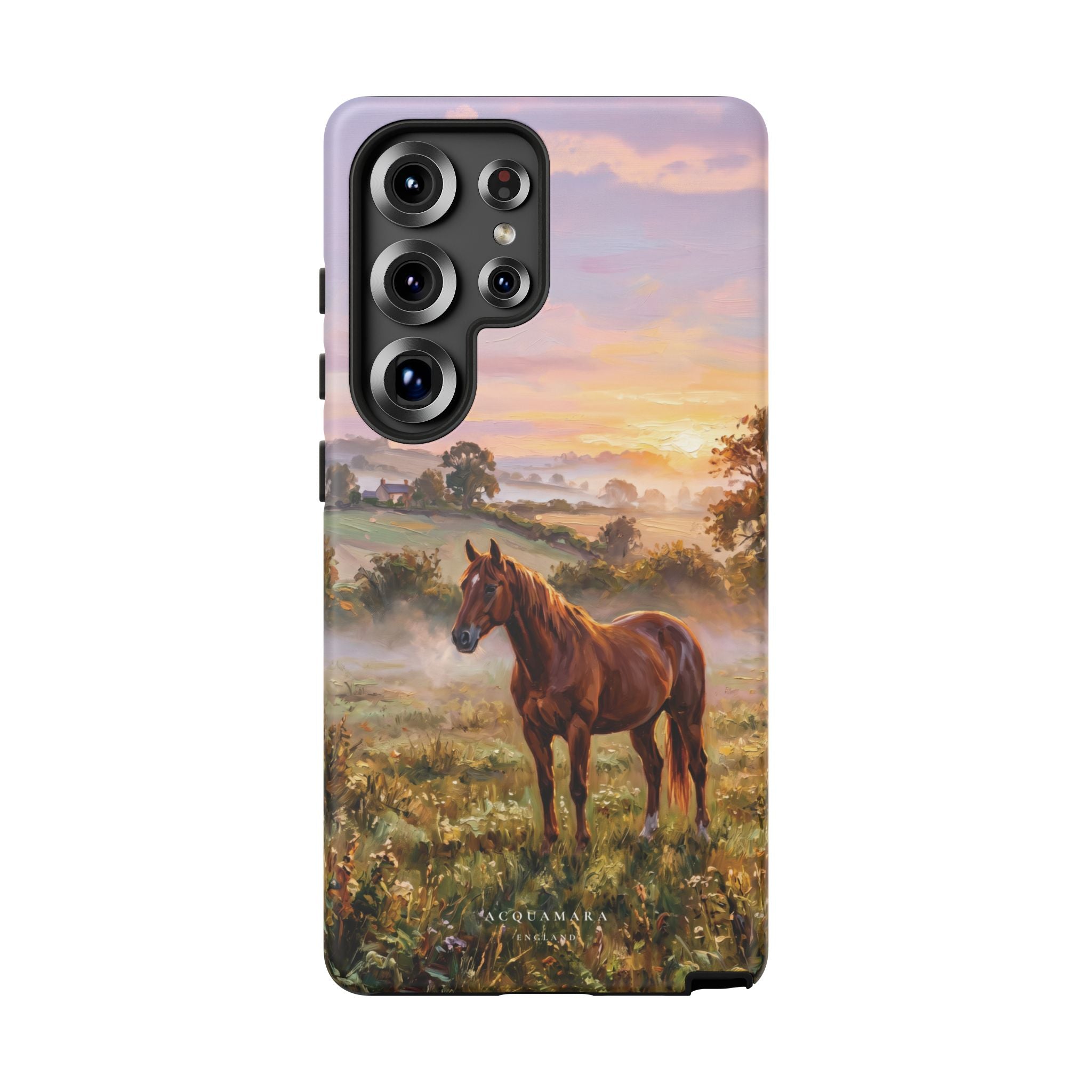 The Chestnut Mare