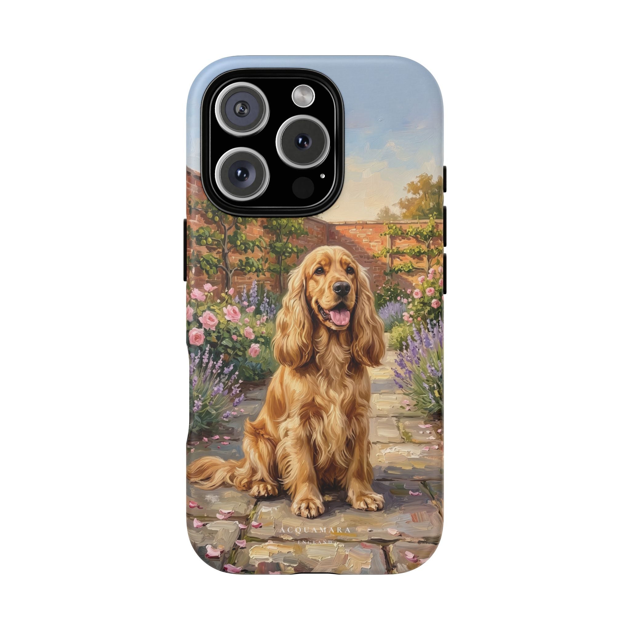 The Show Cocker (Golden)