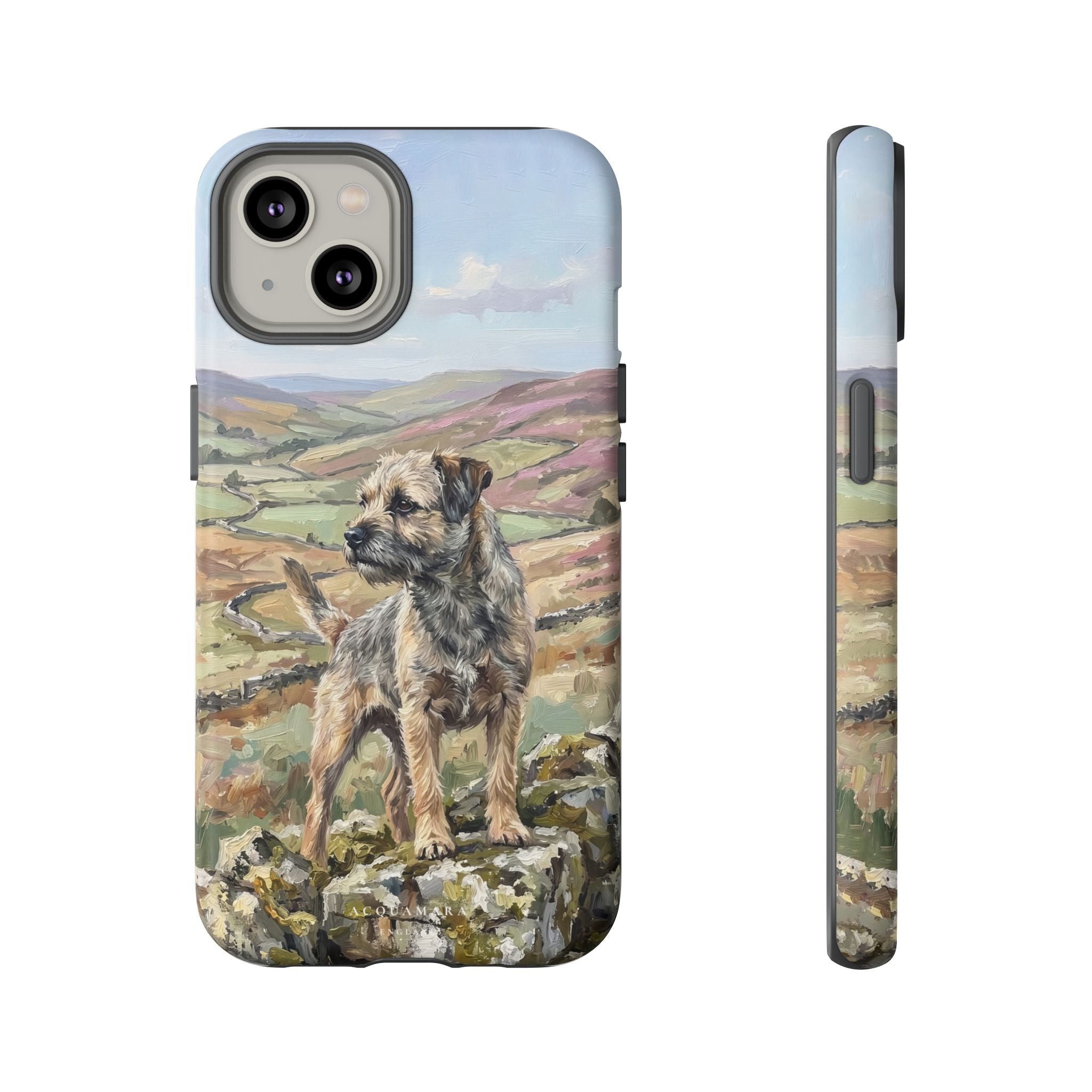 The Border Terrier (Grizzle and Tan)