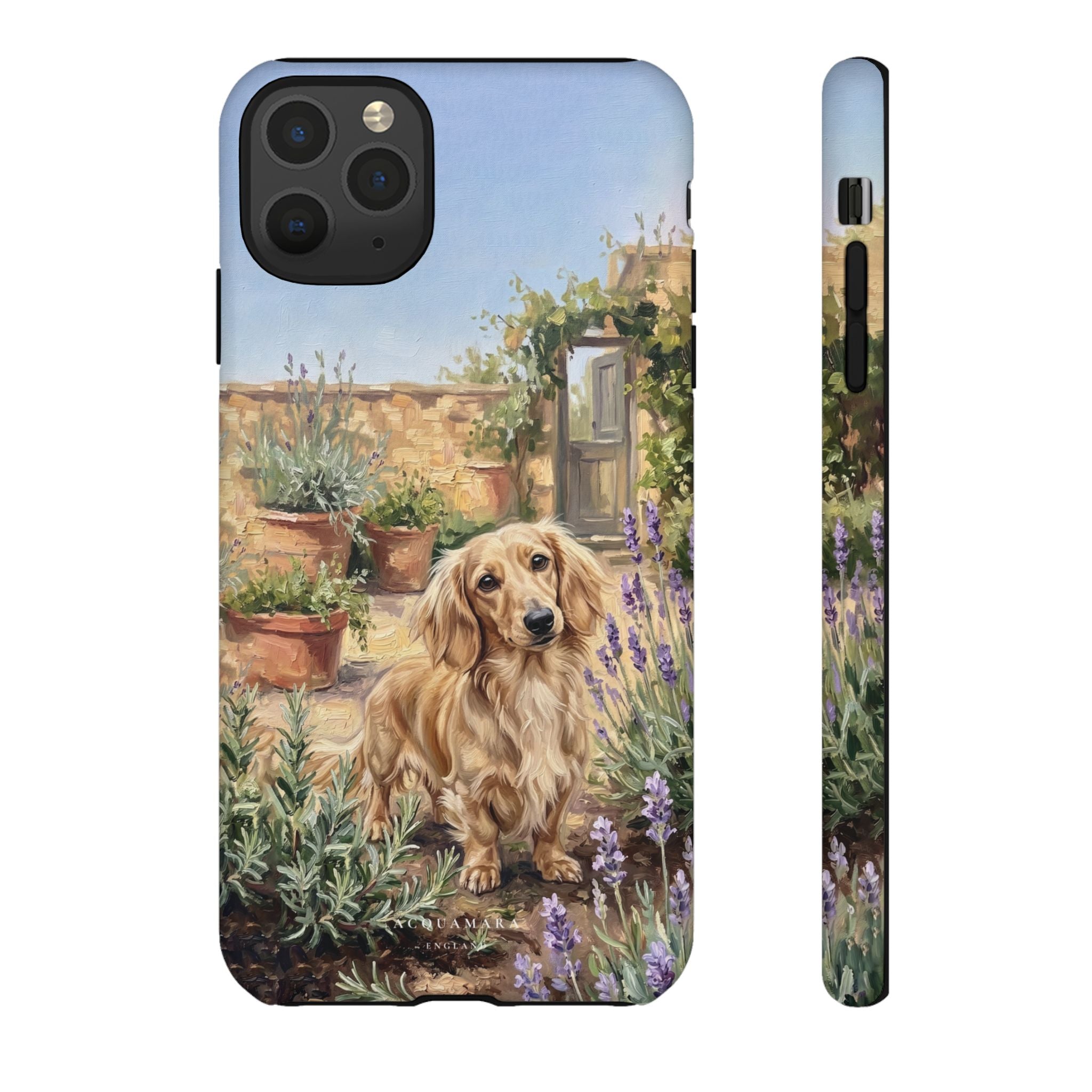 The Dachshund (Blonde long hair)