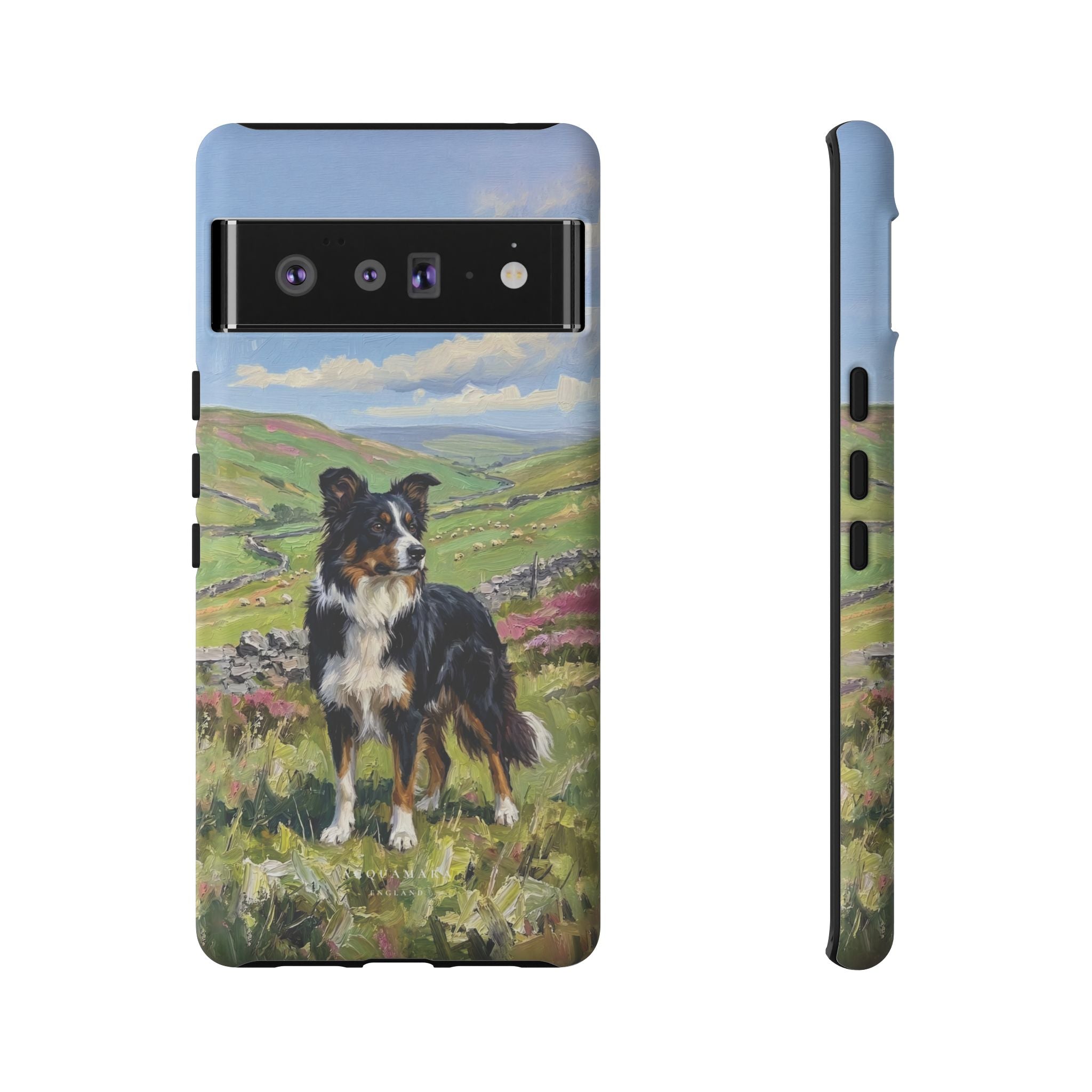 The Border Collie