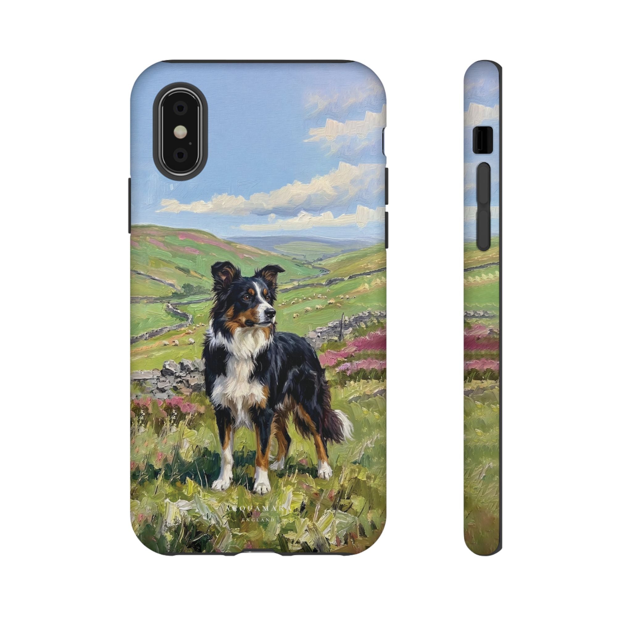 The Border Collie
